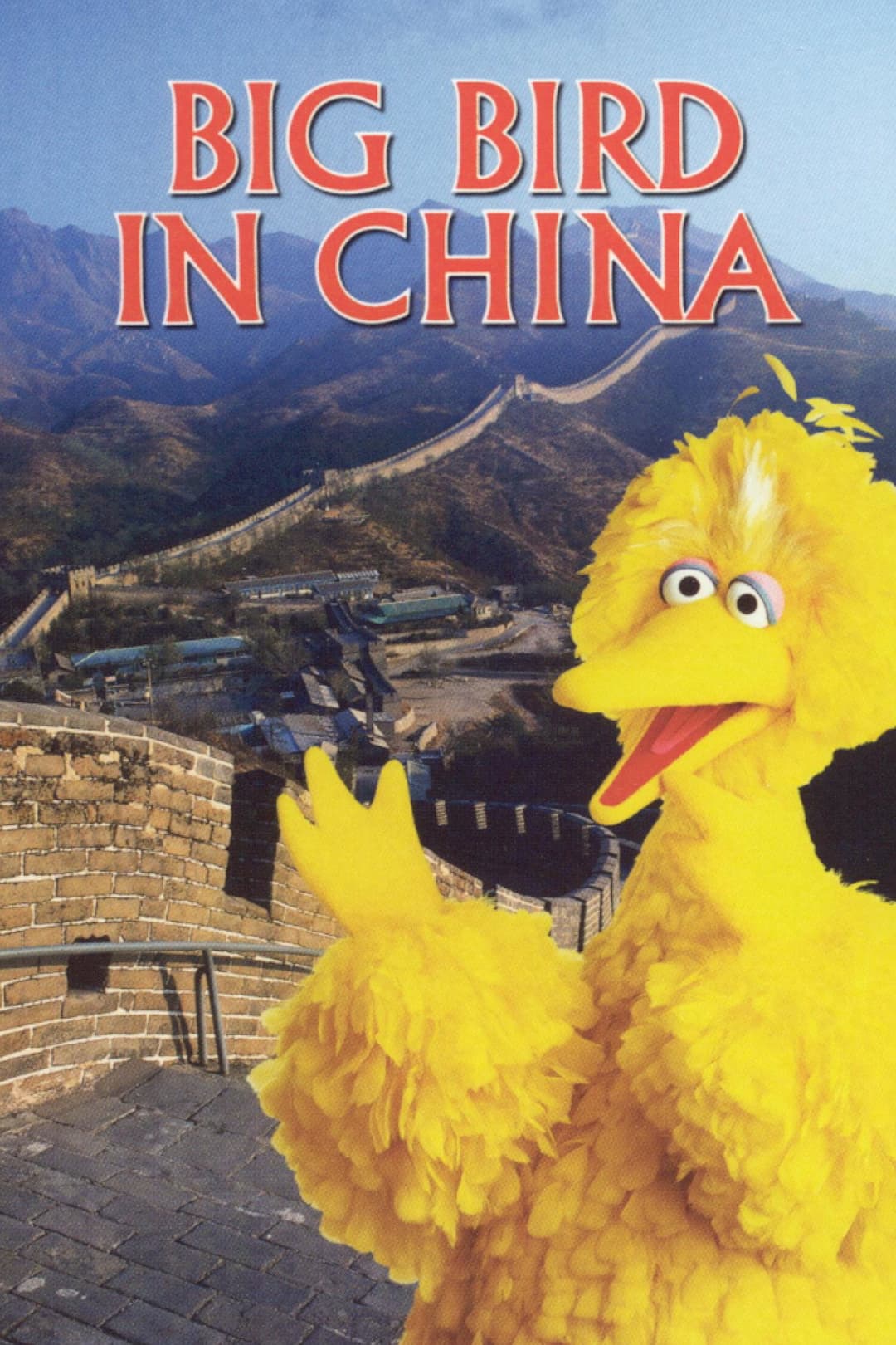 Poster di Big Bird in China