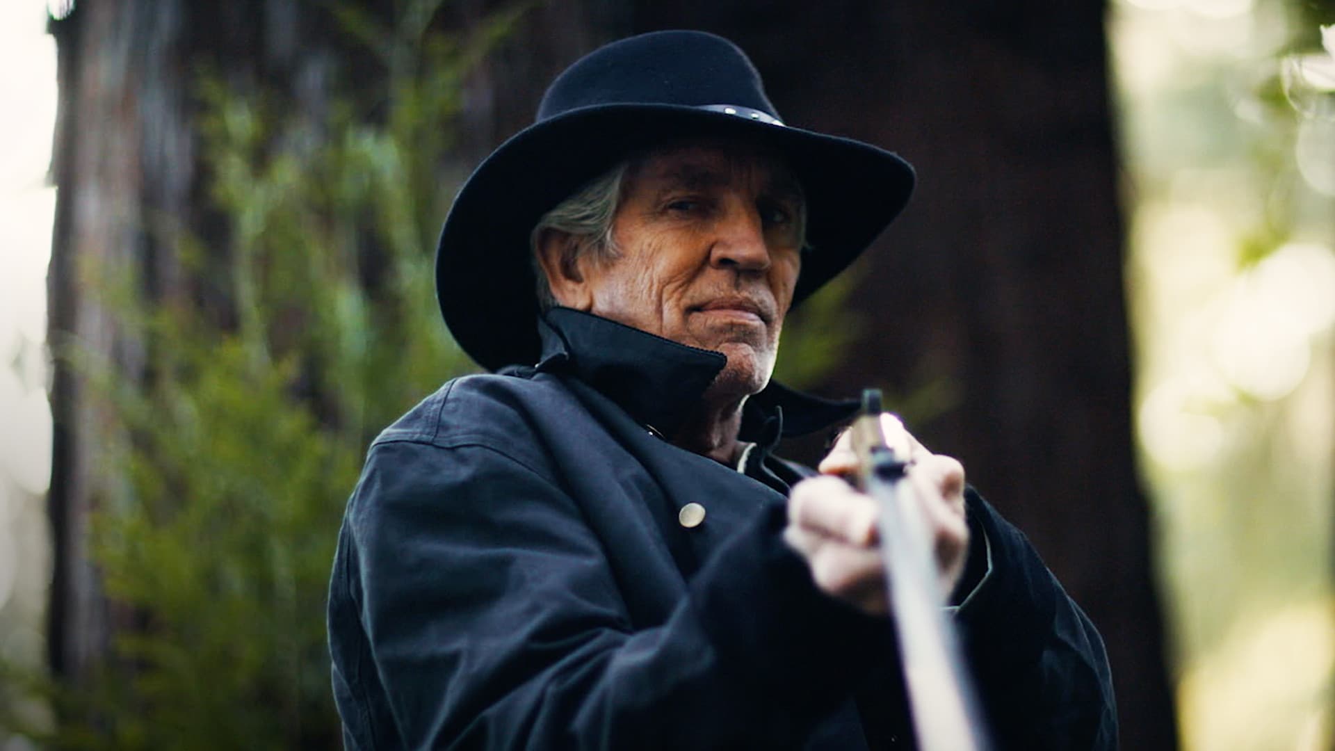 The Outlaws - immagine
