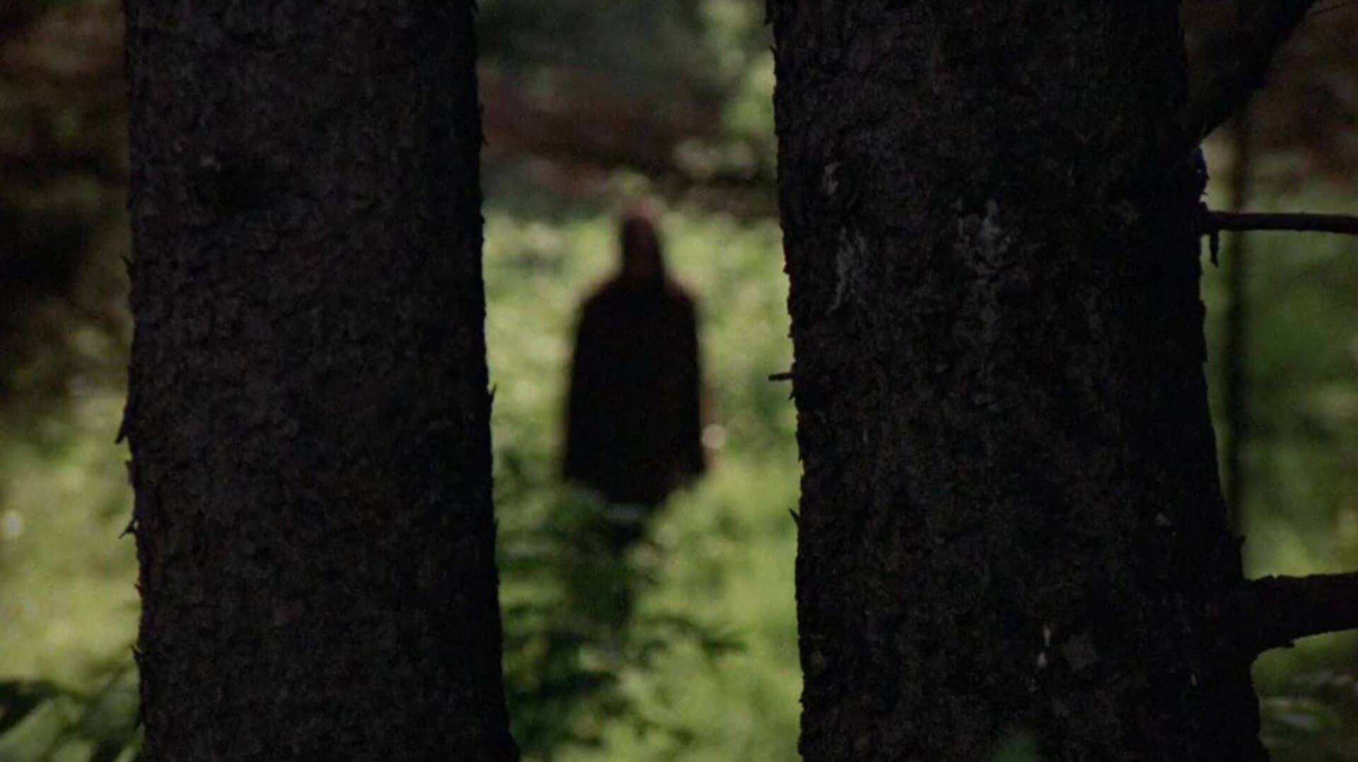 Dark August - immagine