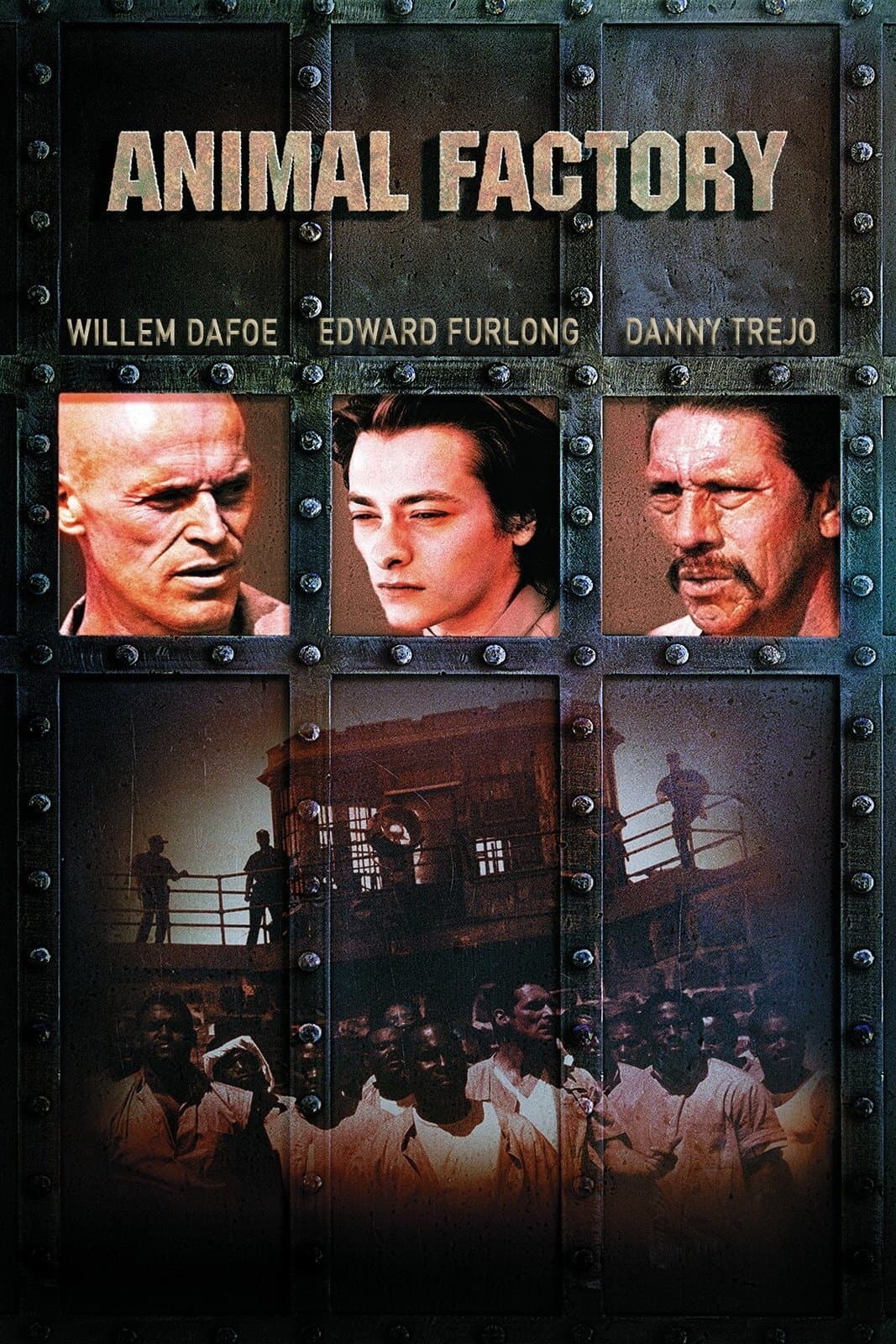 Poster di Animal Factory