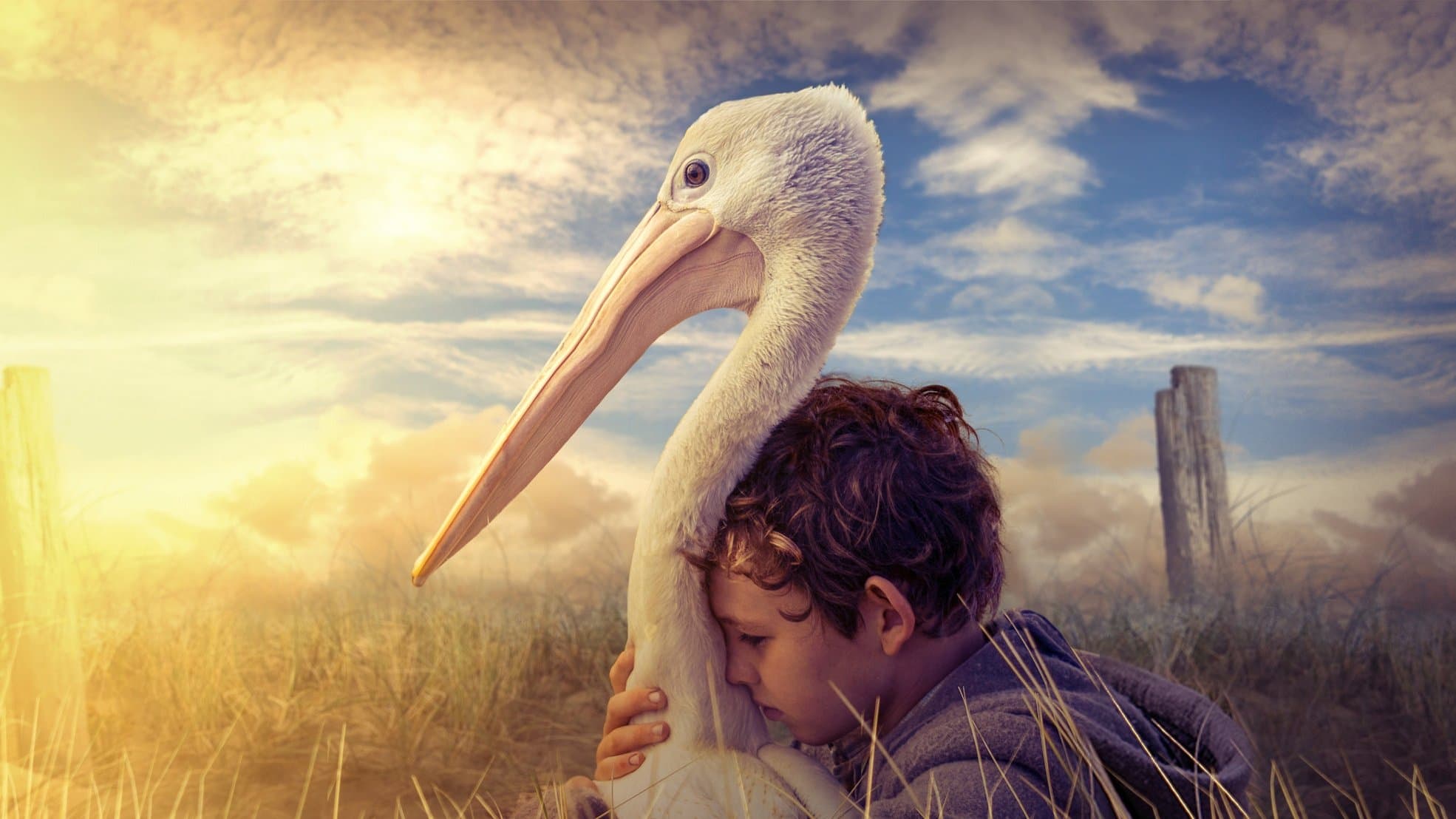 Storm Boy - Il ragazzo che sapeva volare - immagine