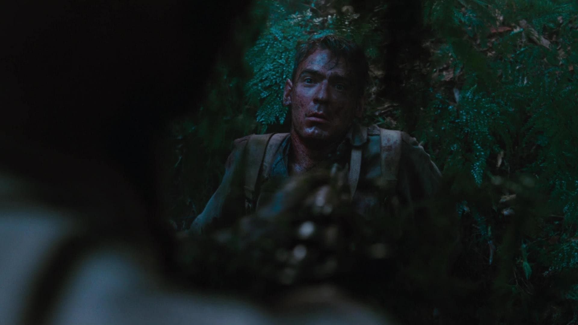 Kokoda - immagine