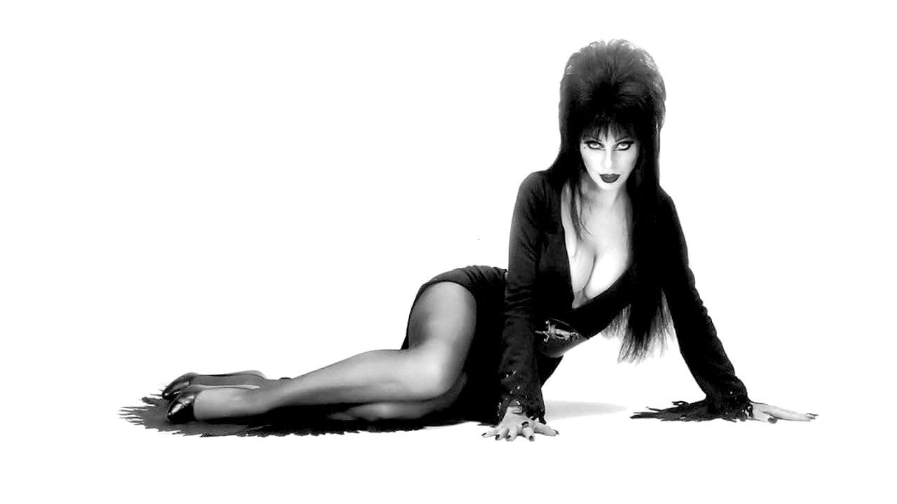 Una strega chiamata Elvira - immagine
