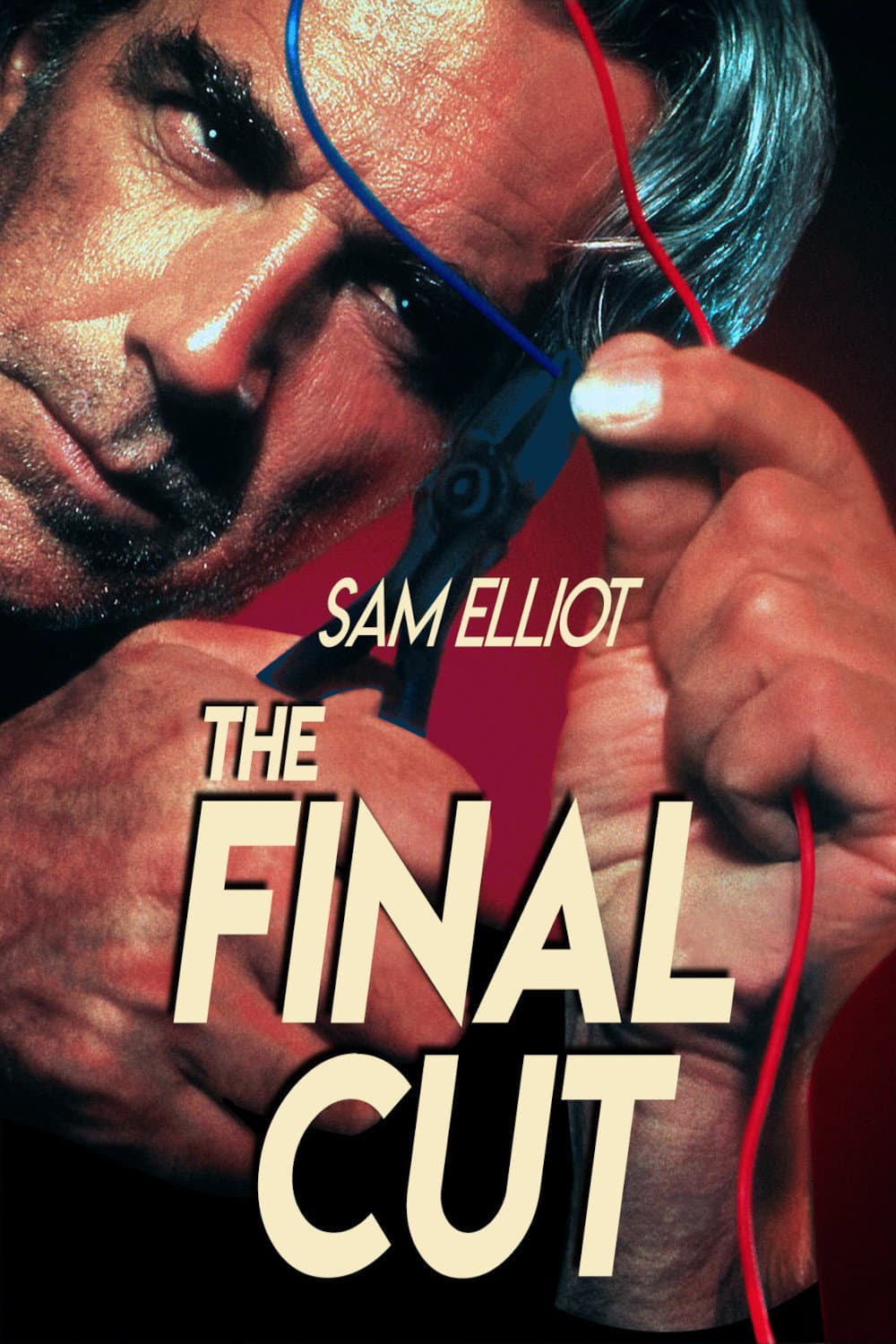 Poster di The Final Cut
