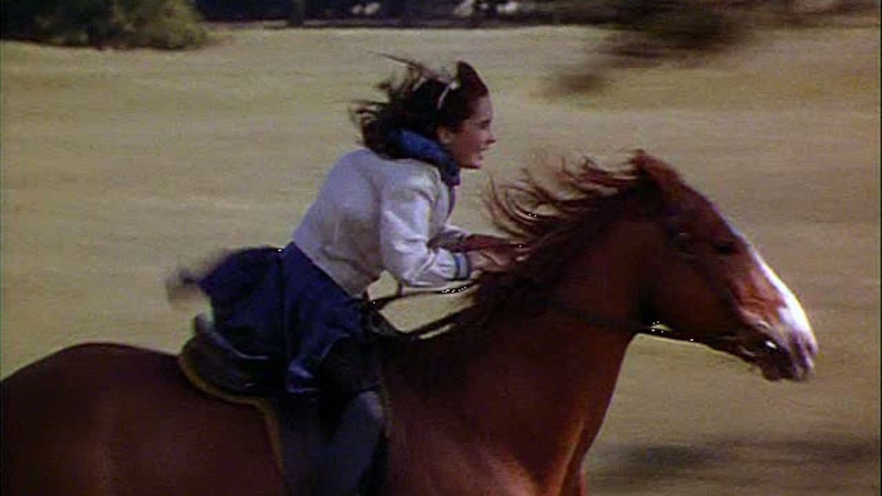 Gran premio - immagine