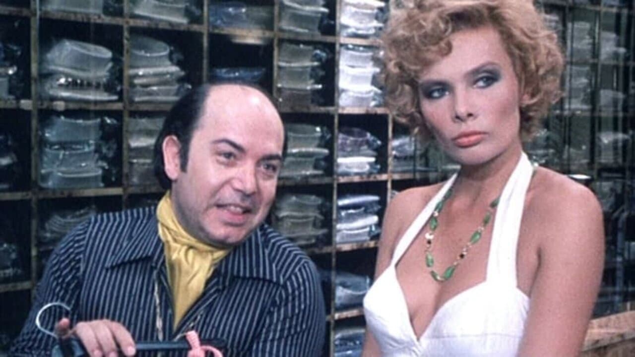 La Compagna di Banco - immagine