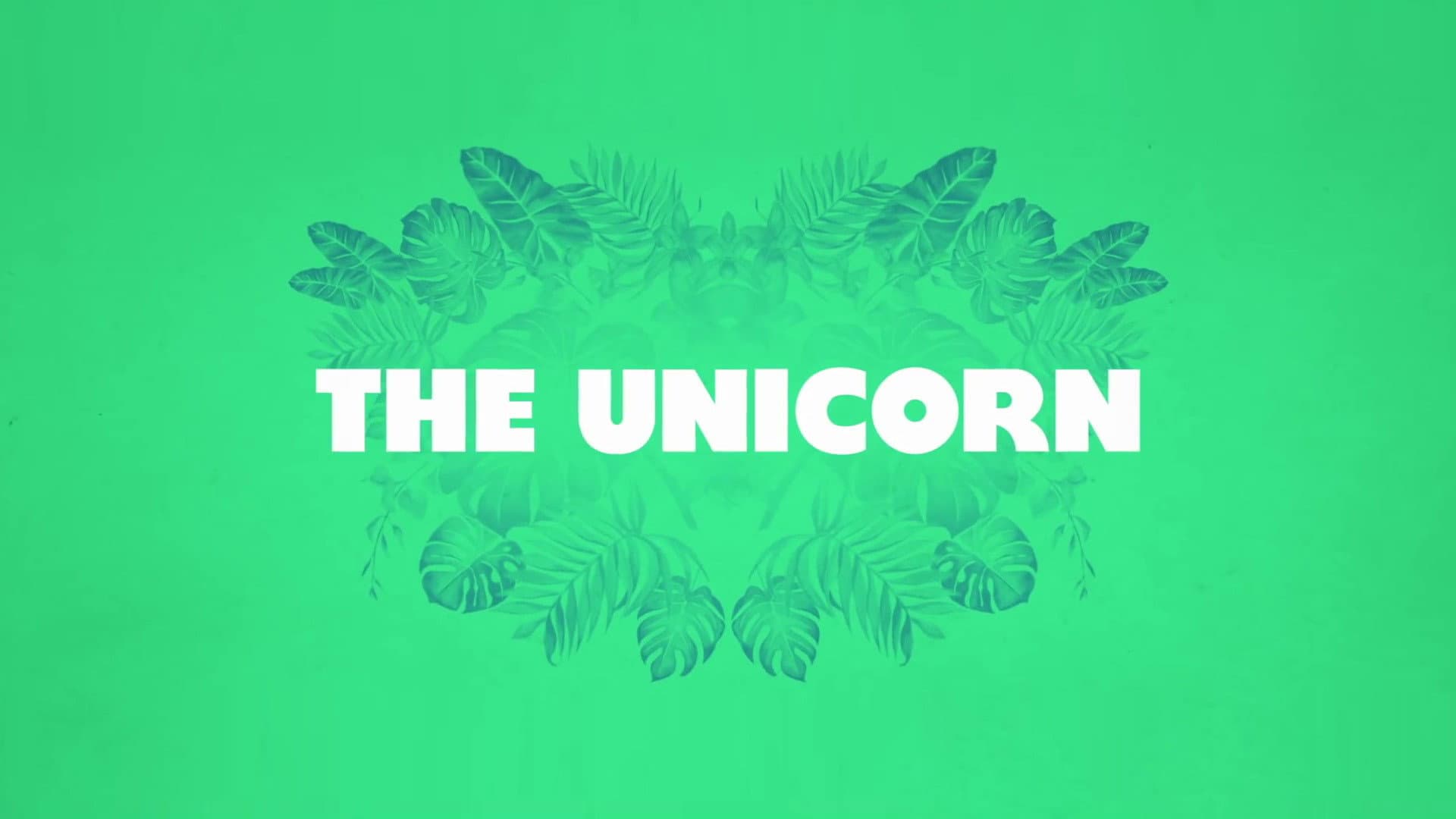 The Unicorn - immagine