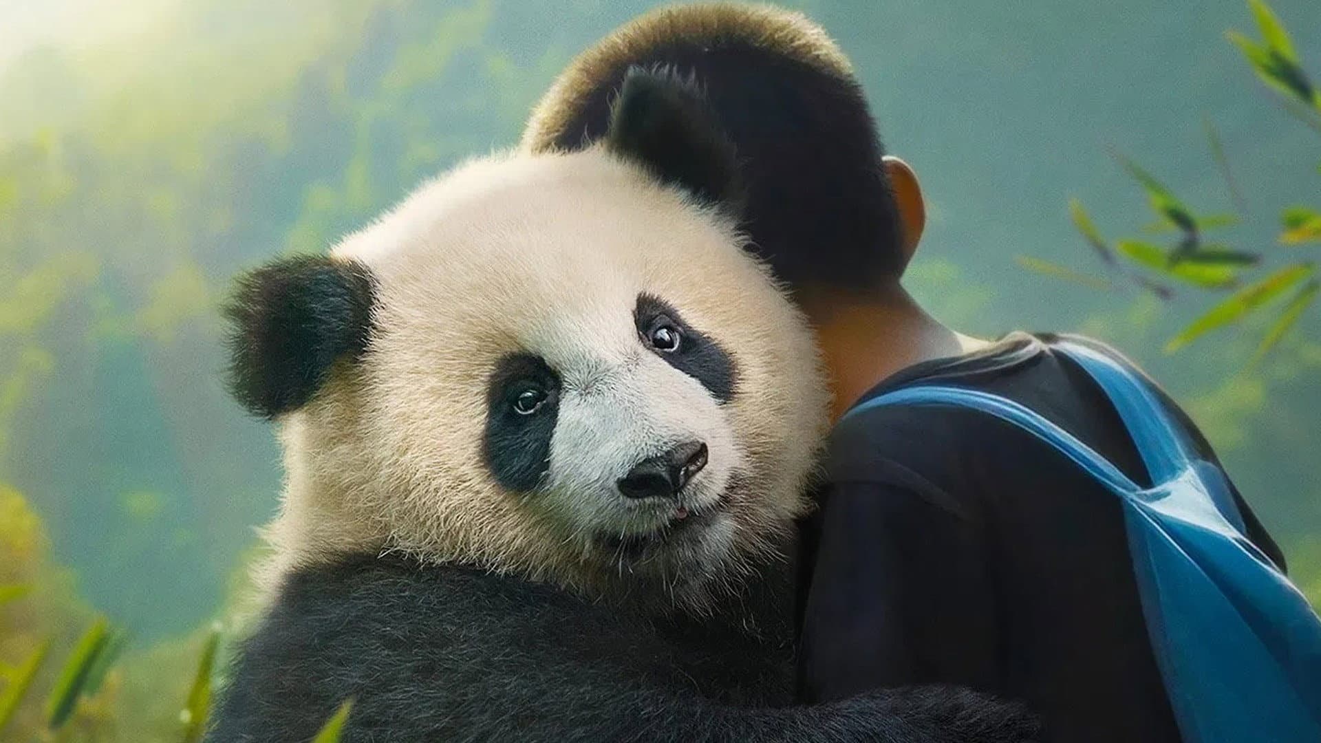 Moon il panda - immagine