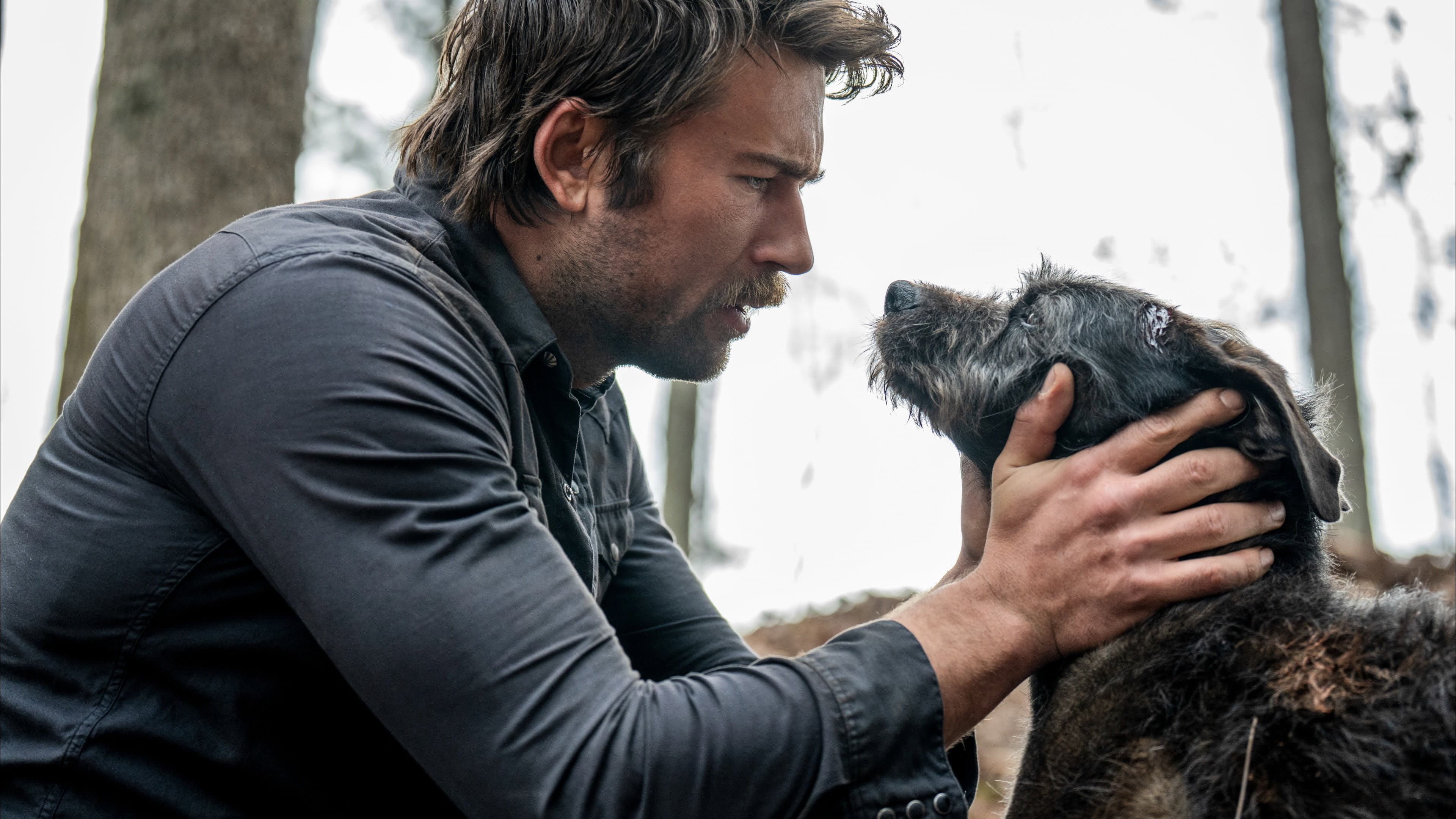 The Rescue - immagine