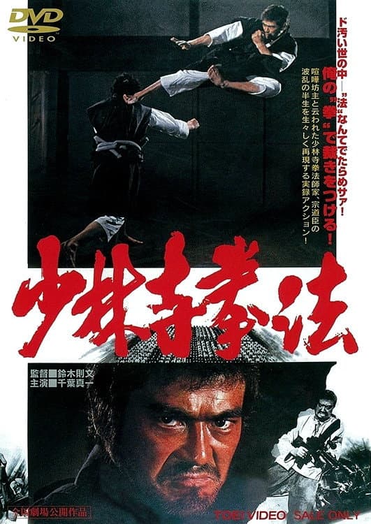 Poster di 少林寺拳法