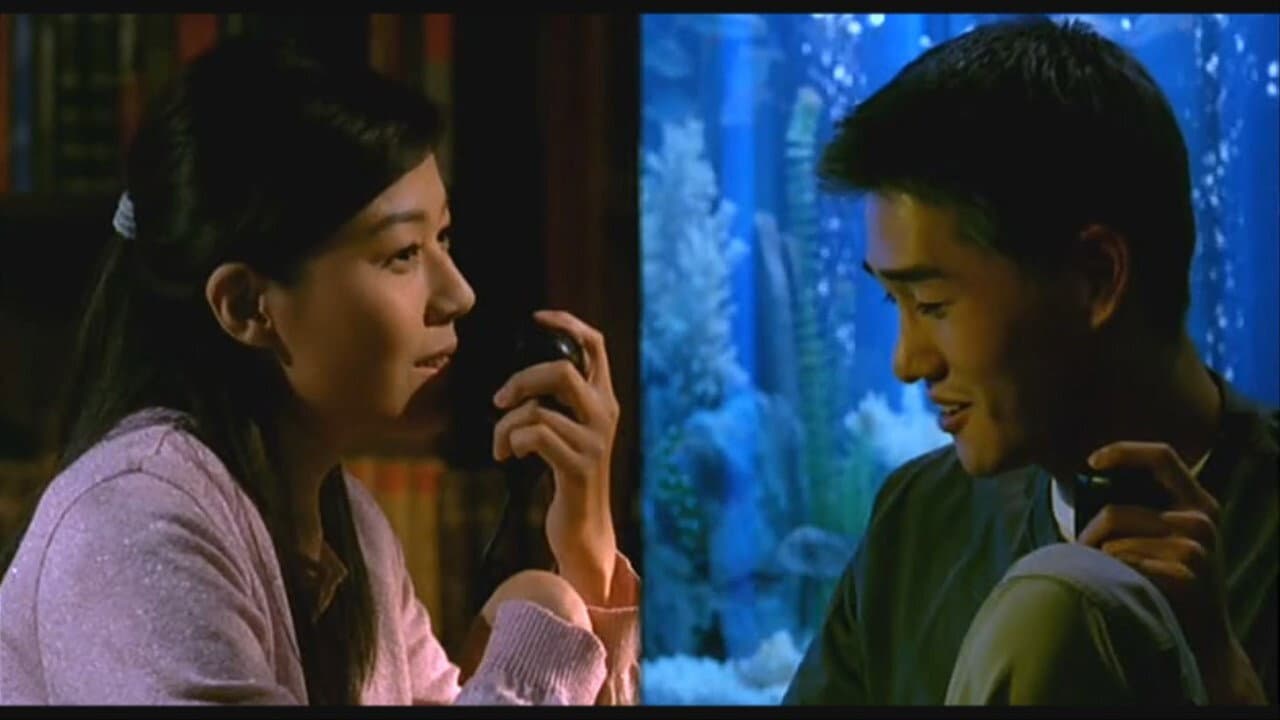 동감 - immagine