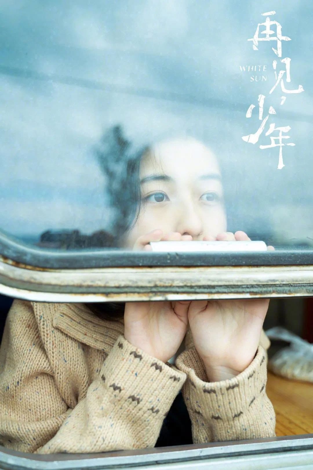 Poster di 再见，少年