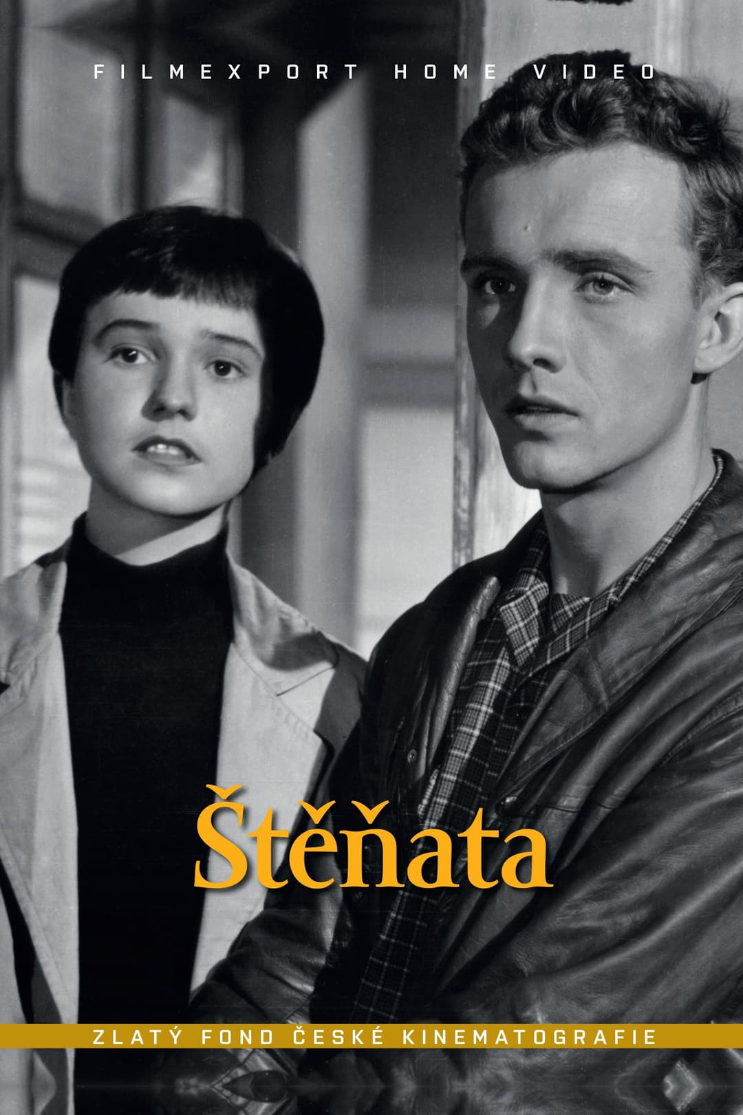 Poster di Štěňata