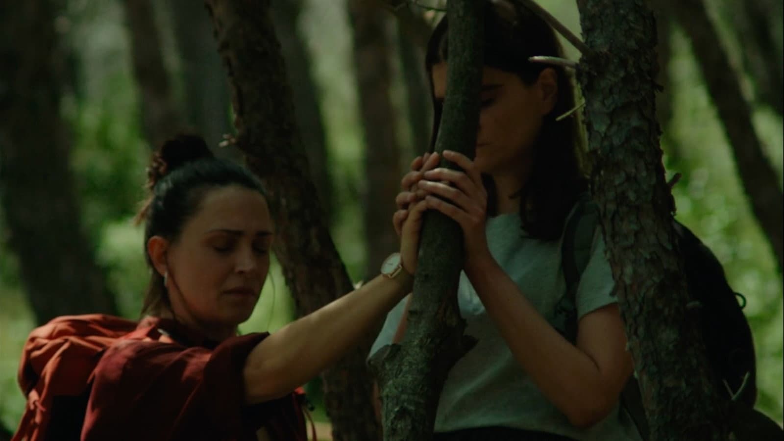 Don’t Try This in the Woods - immagine