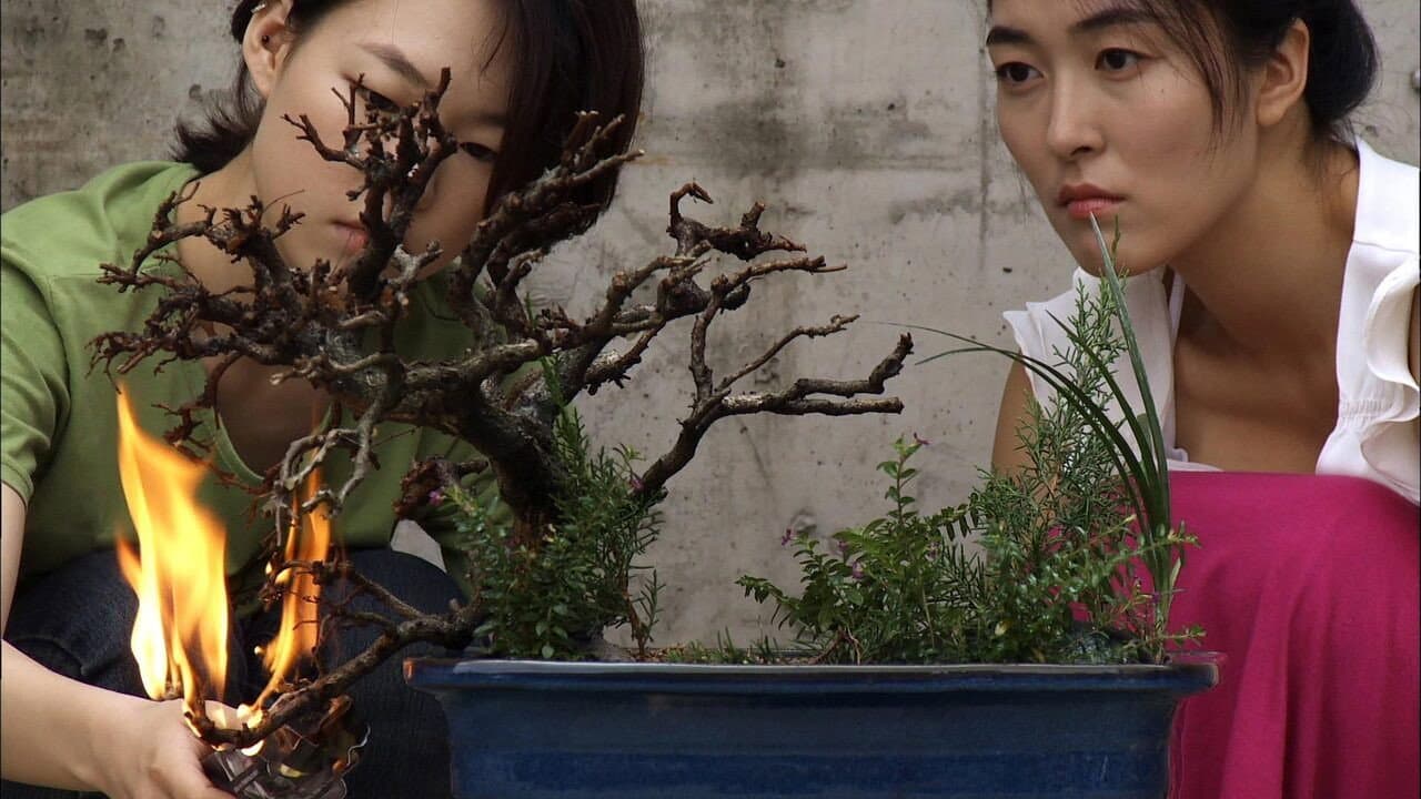 다시 태어나고 싶어요, 안양에 - immagine