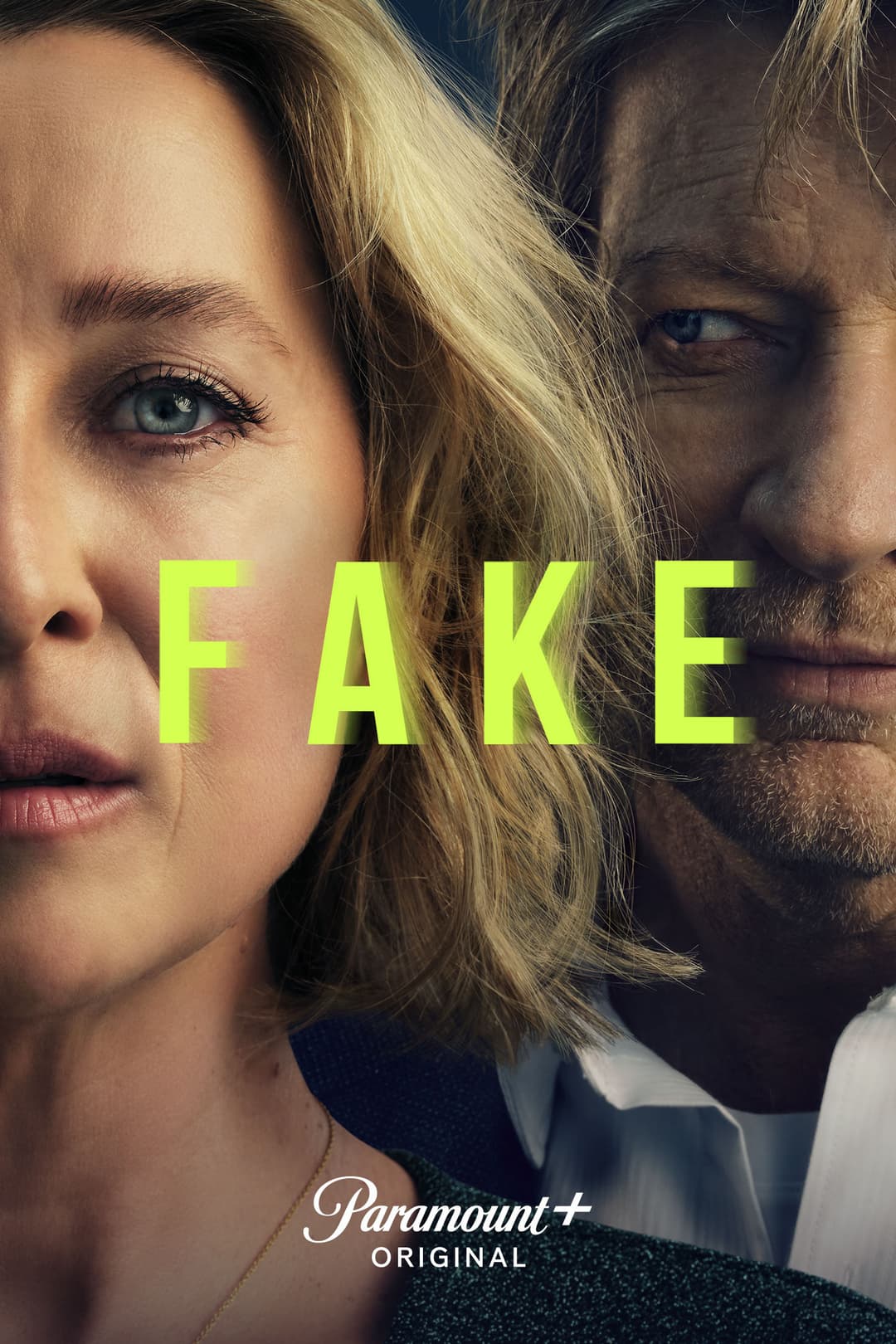 Poster di Fake