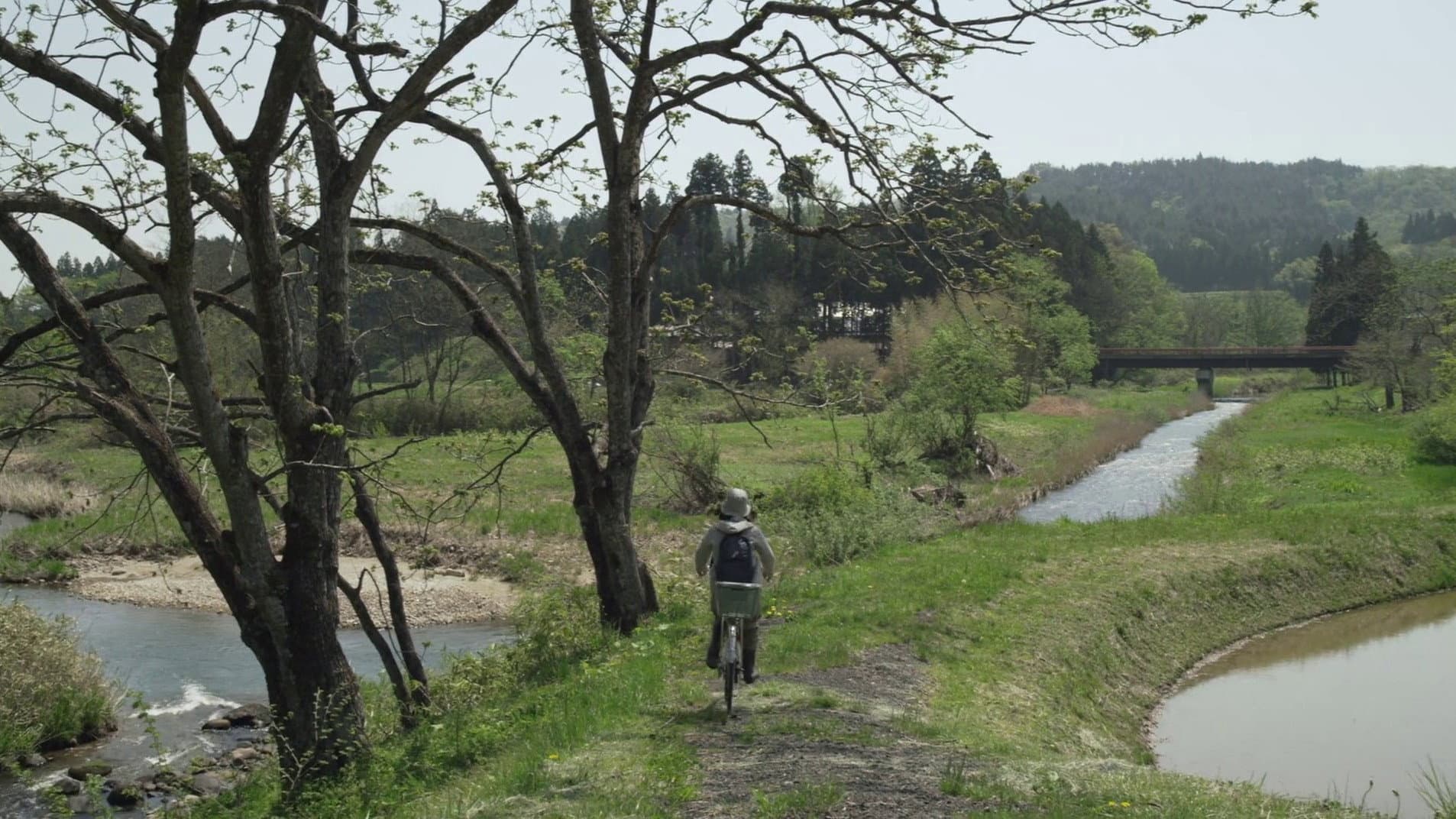 Little Forest: Winter/Spring - immagine
