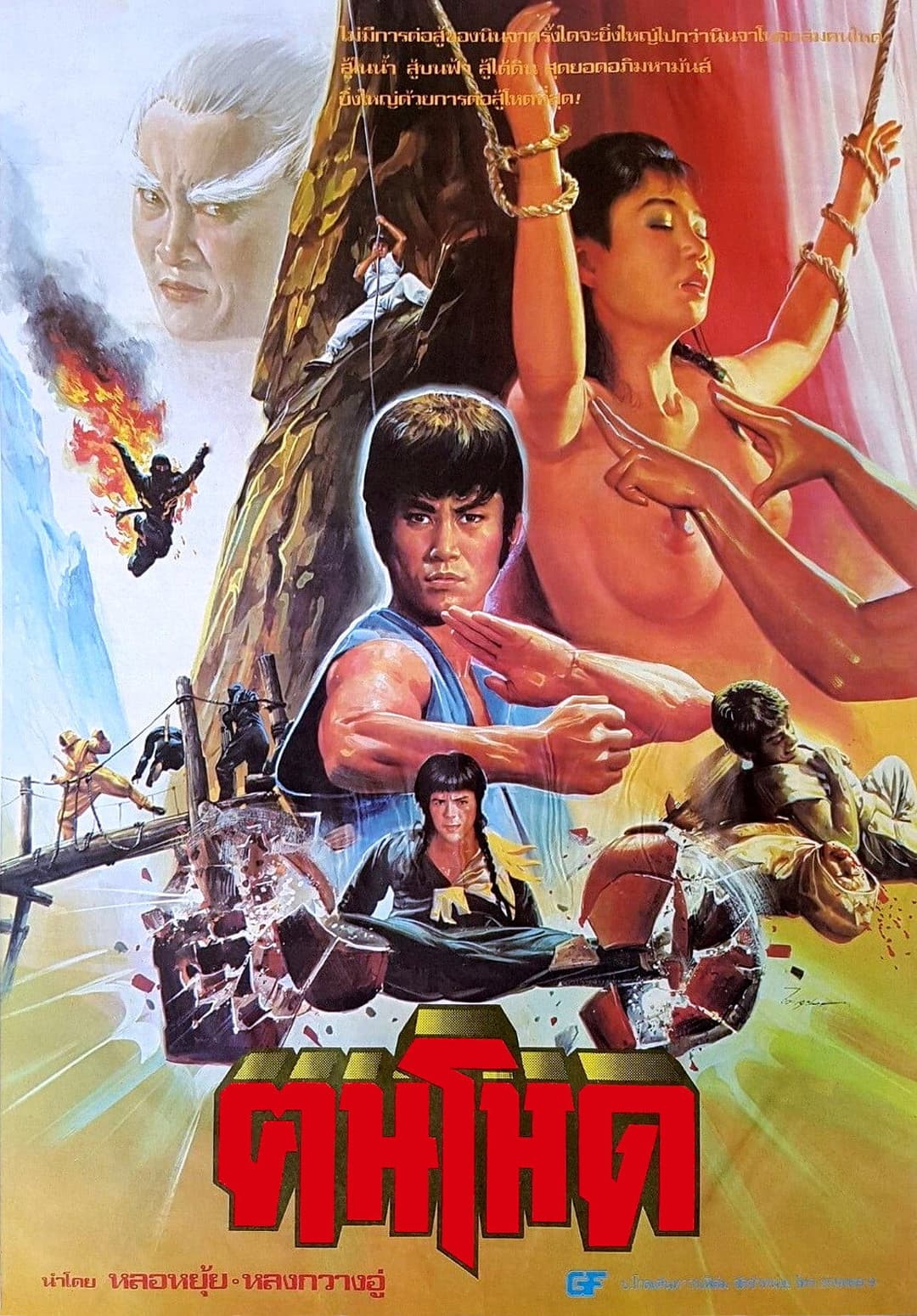 Poster di 忍者大决斗