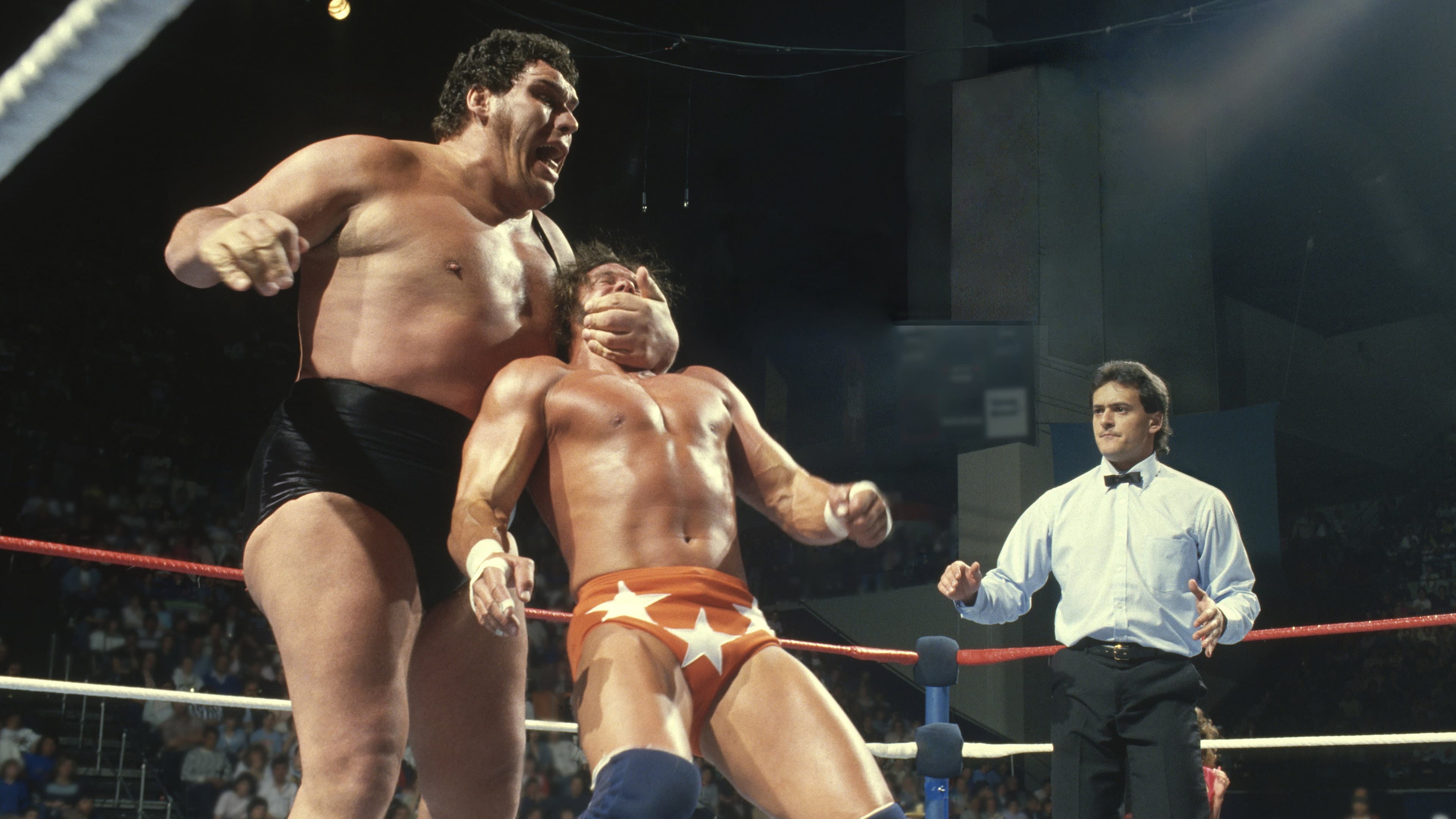 Andre the Giant - immagine