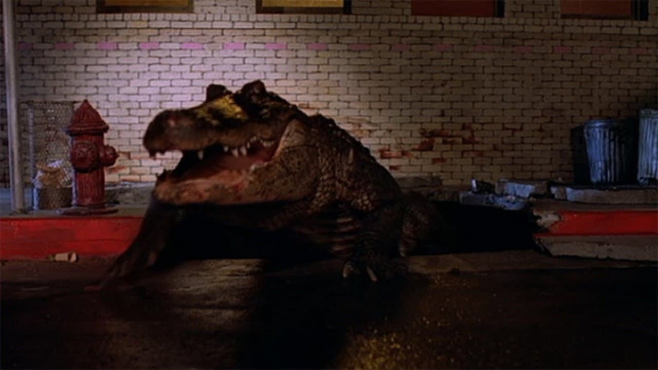 Alligator - immagine