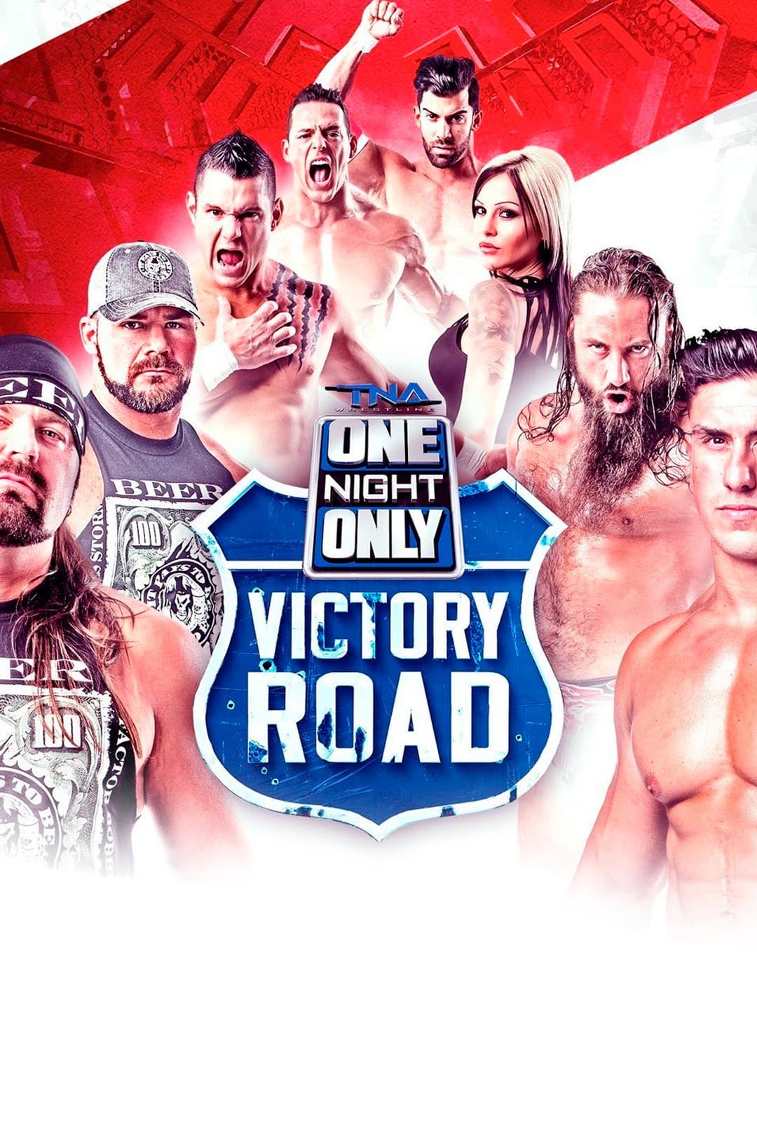 Poster di TNA One Night Only: Victory Road 2