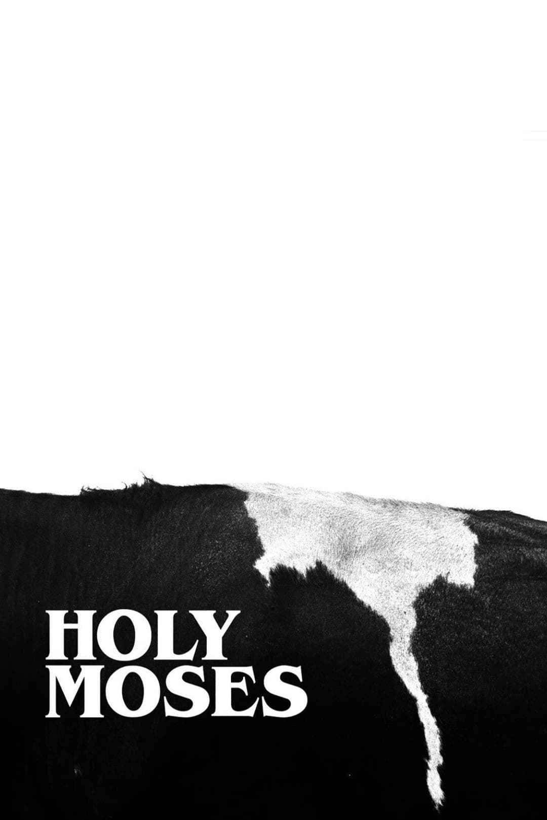Poster di Holy Moses