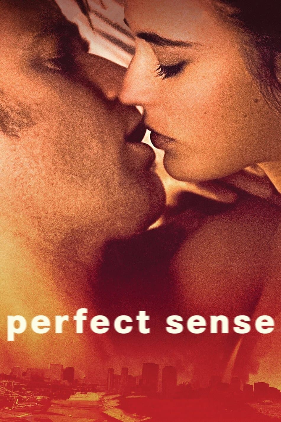 Poster di Perfect Sense
