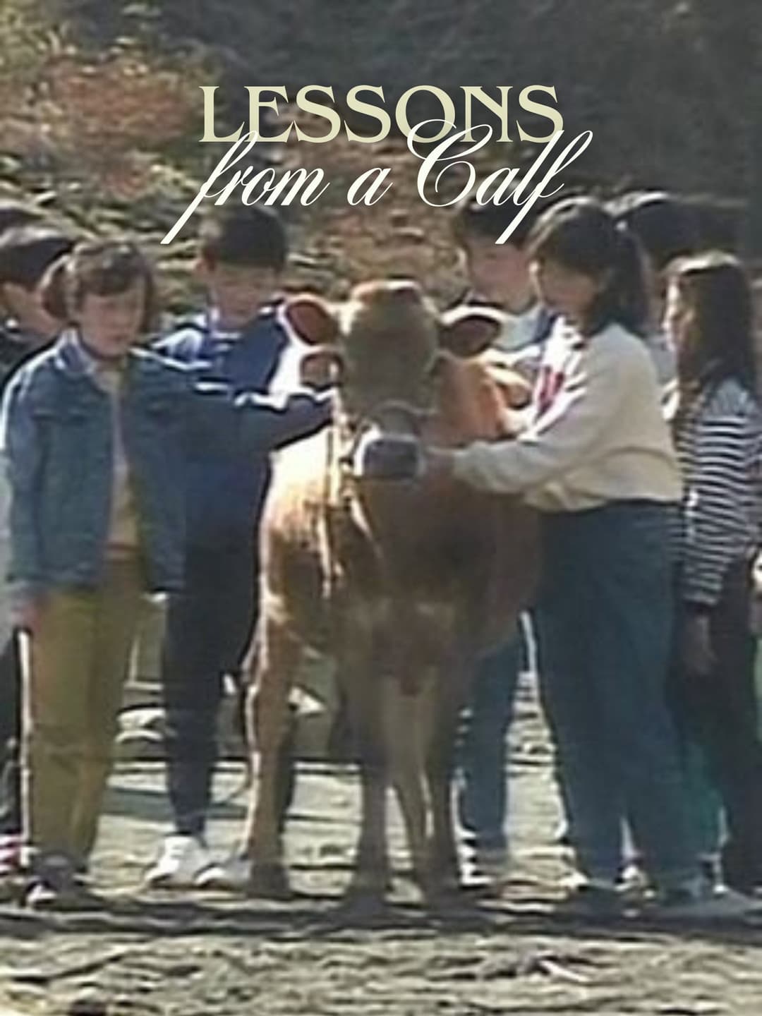 Poster di Lessons from a Calf
