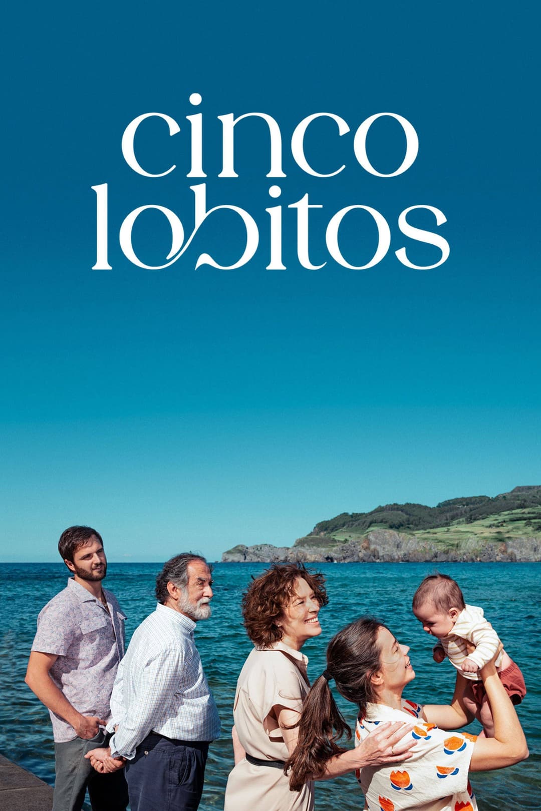 Poster di Cinco lobitos