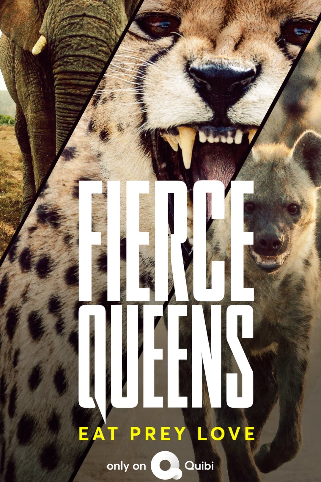 Poster di Fierce Queens