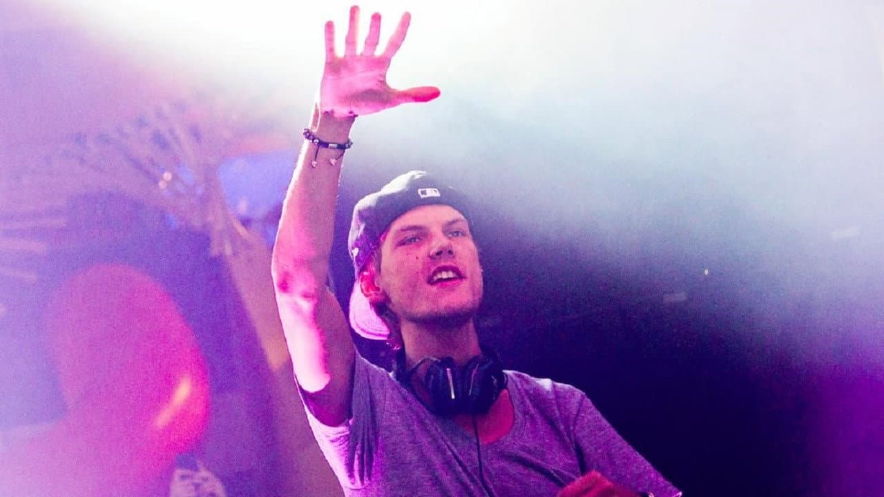Avicii - La vera storia - immagine