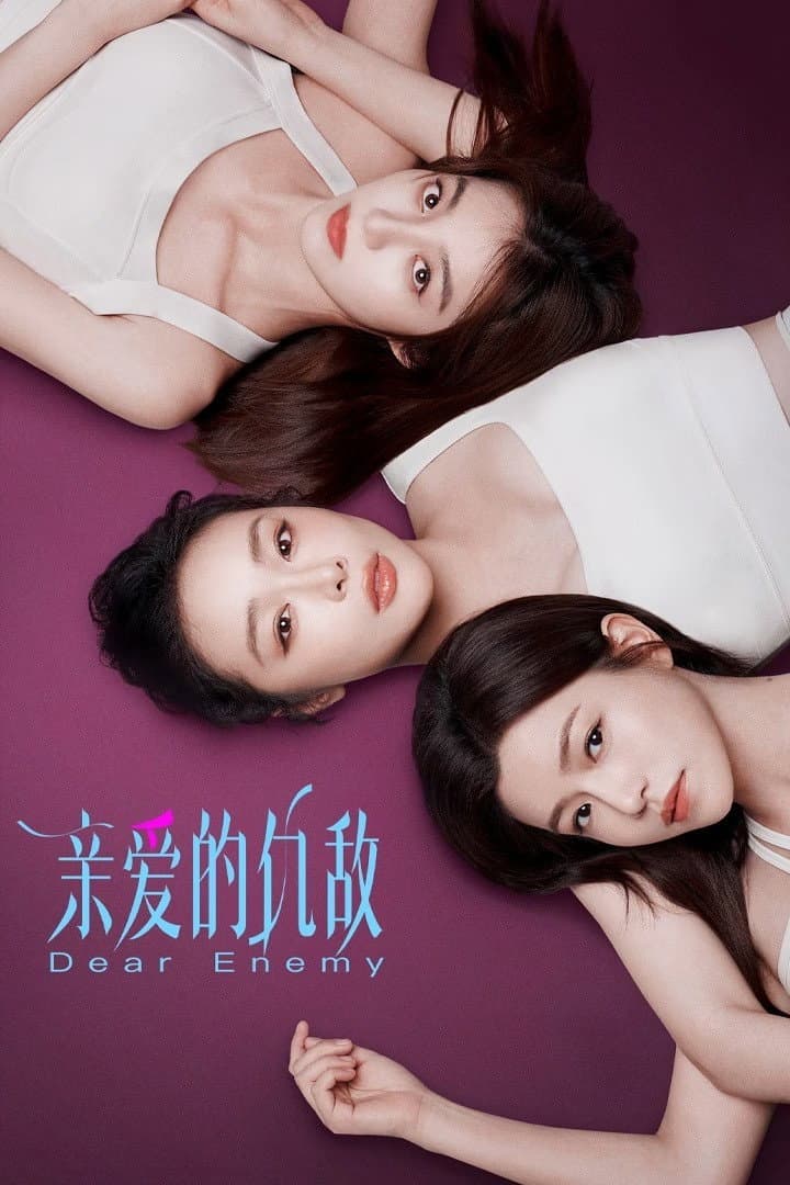 Poster di 亲爱的仇敌