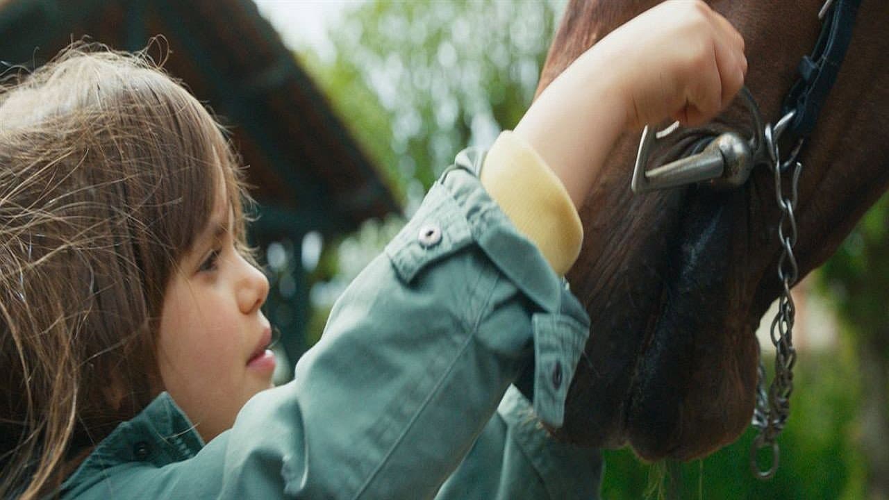 Il mio amico Tempesta - immagine