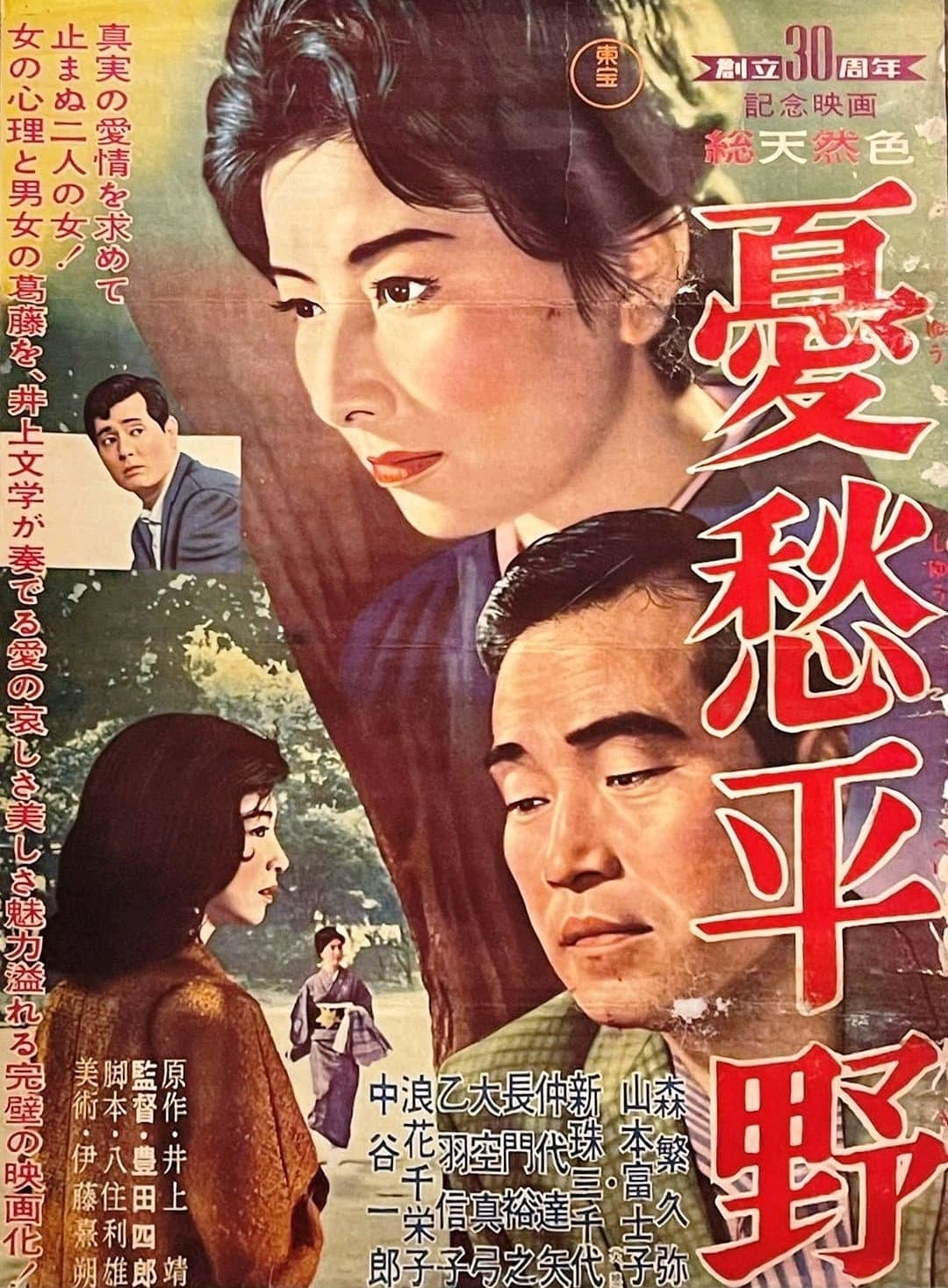 Poster di 憂愁平野