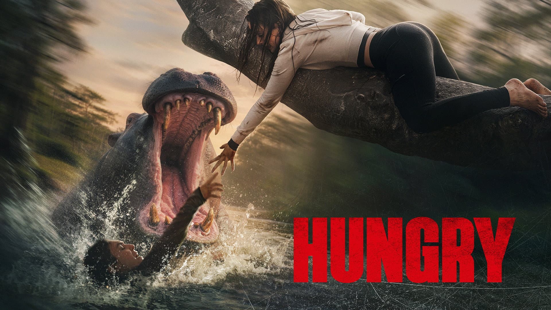 Hungry - immagine