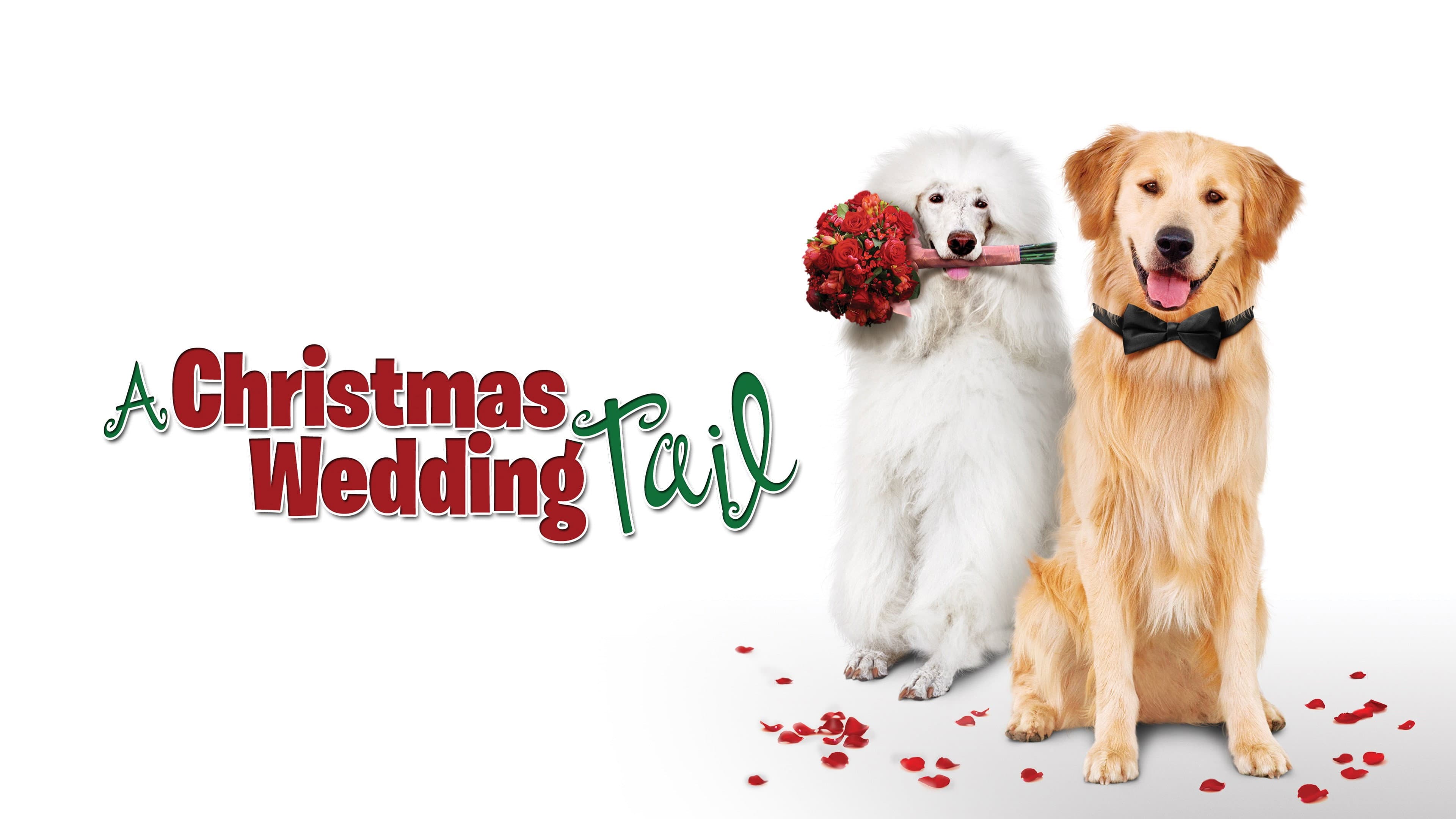 Un matrimonio sotto l'albero - immagine