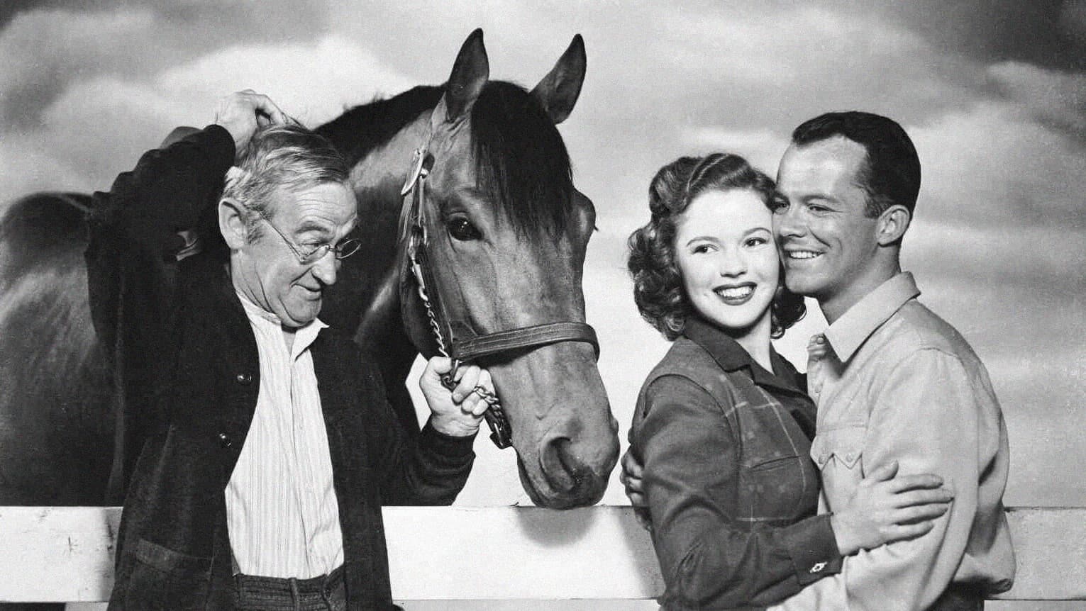 The Story of Seabiscuit - immagine