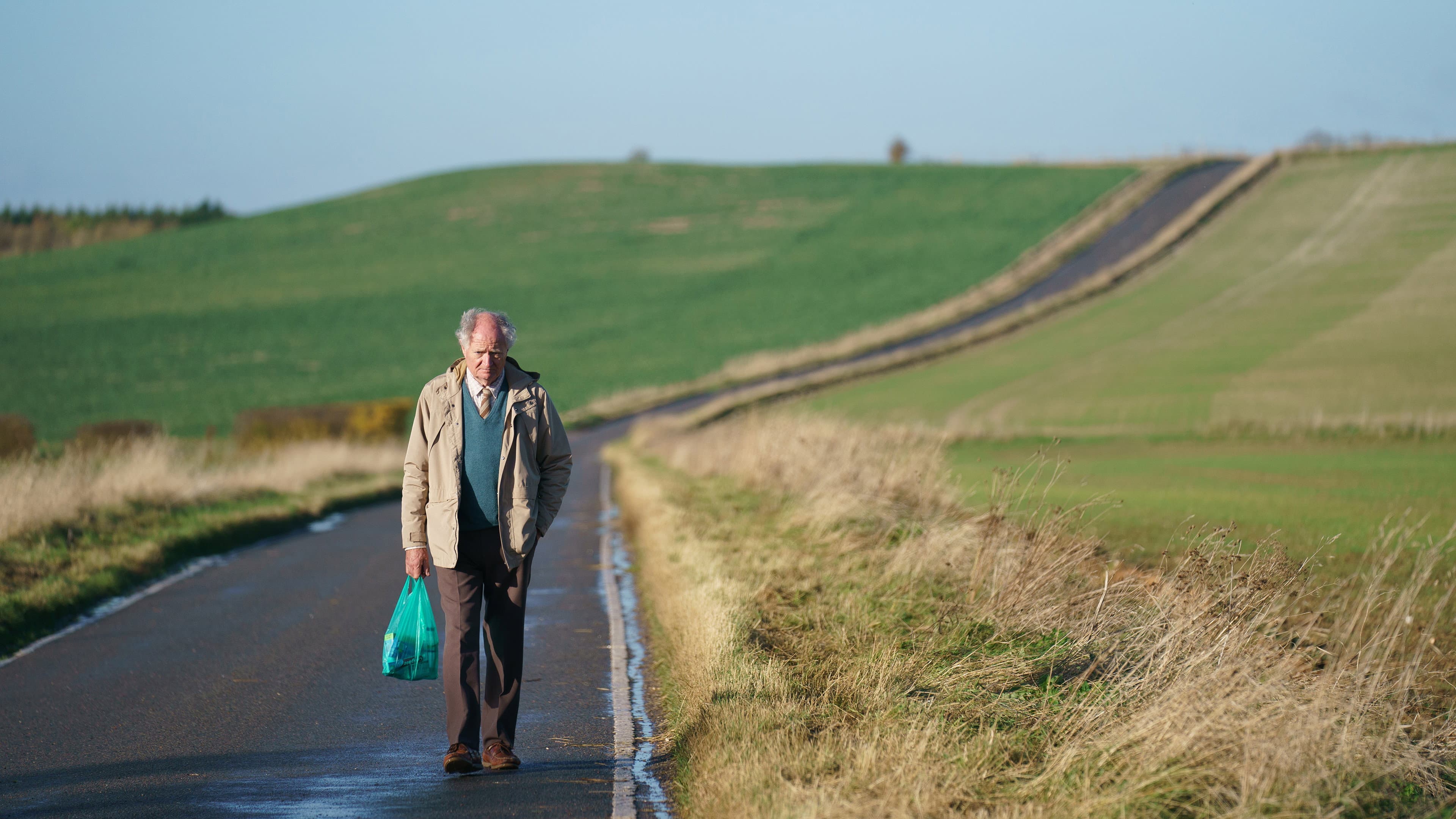 L'imprevedibile viaggio di Harold Fry - immagine