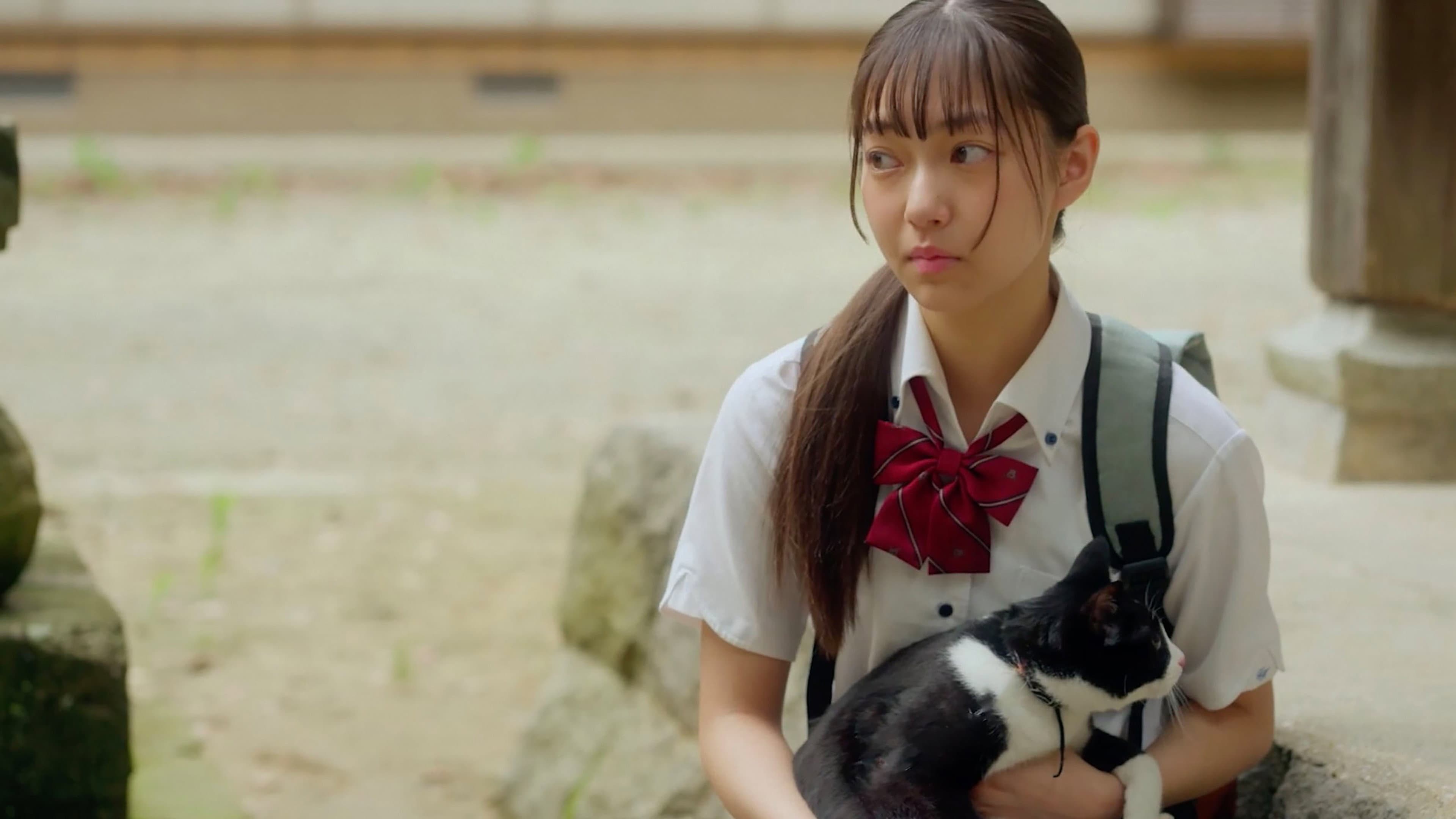 猫と私と、もう1人のネコ - immagine