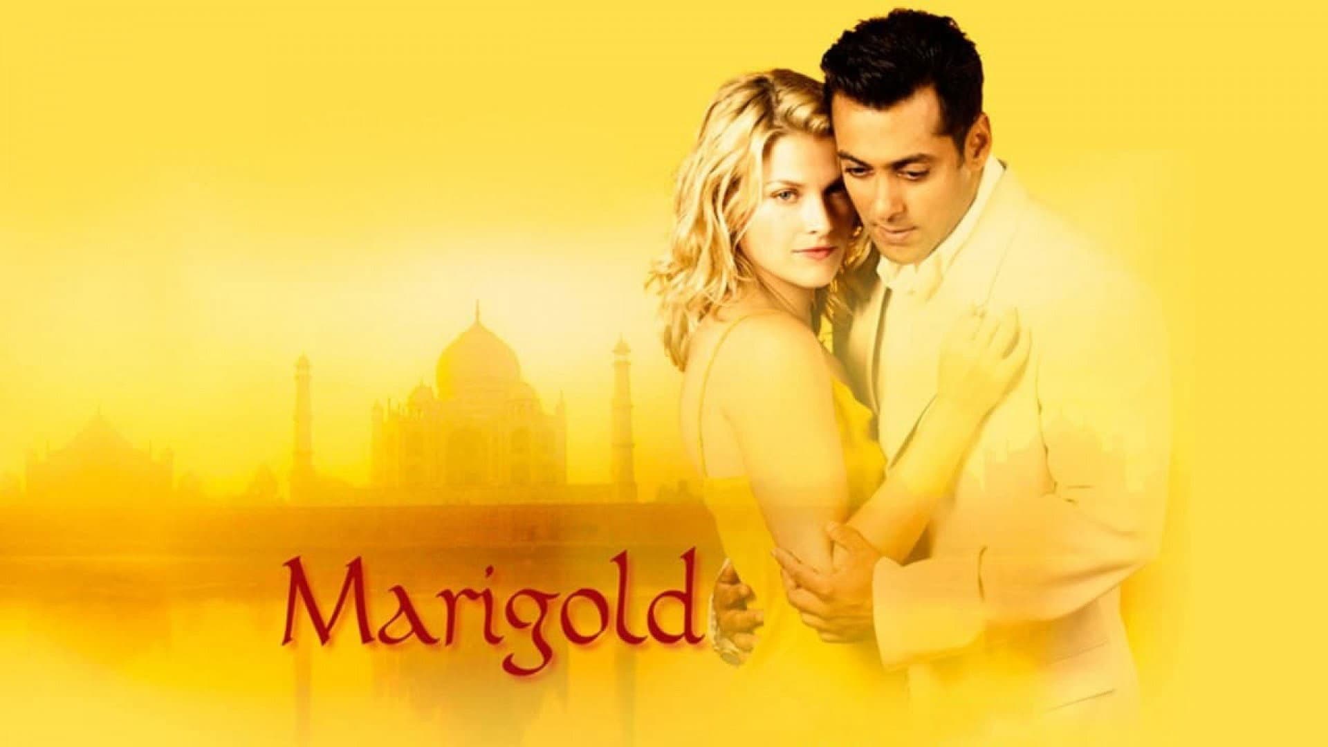 Marigold - immagine