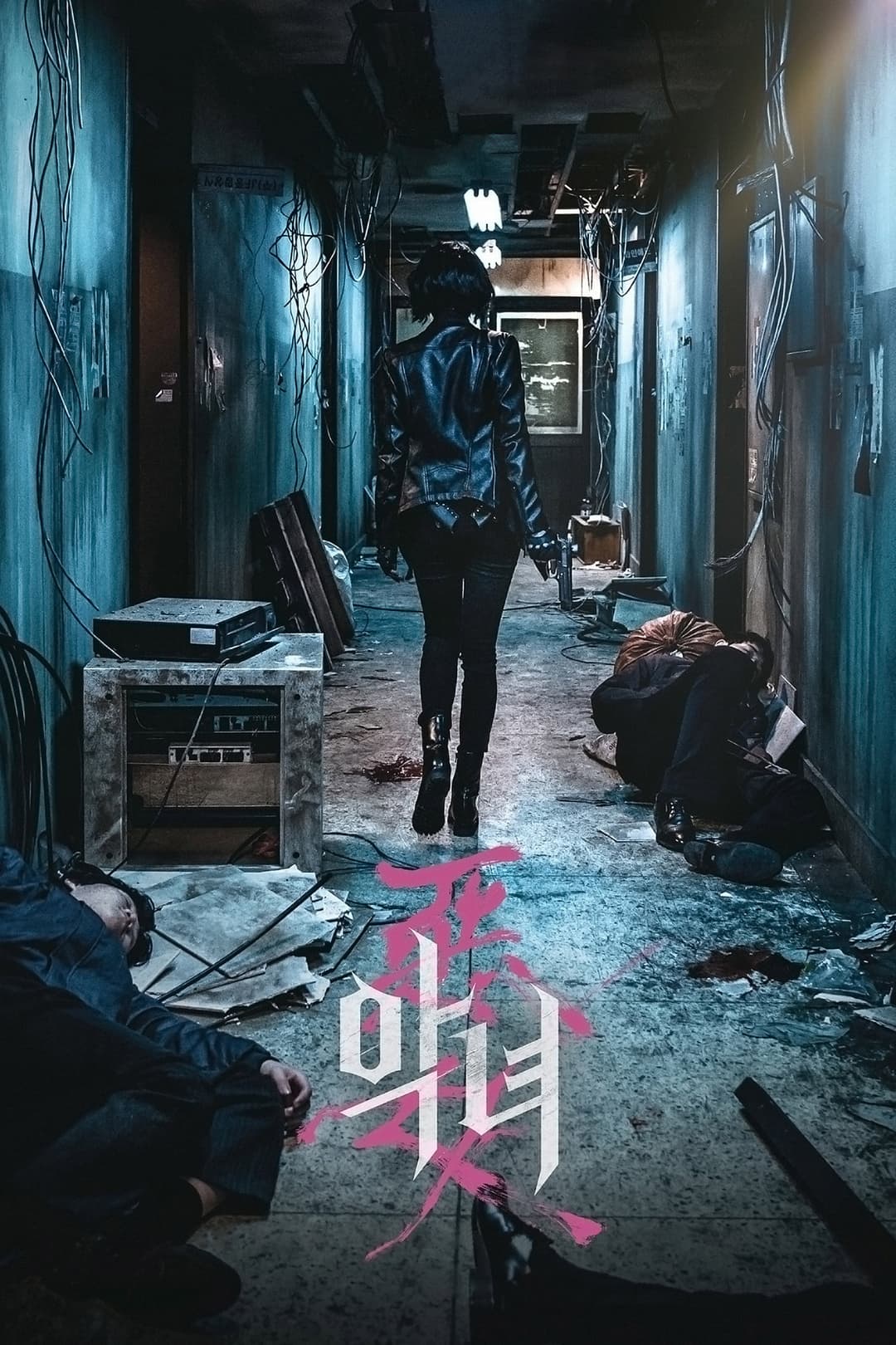 Poster di L'assassina - The Villainess