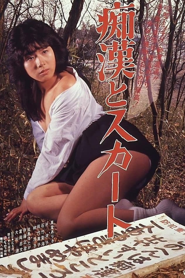 Poster di 痴漢とスカート