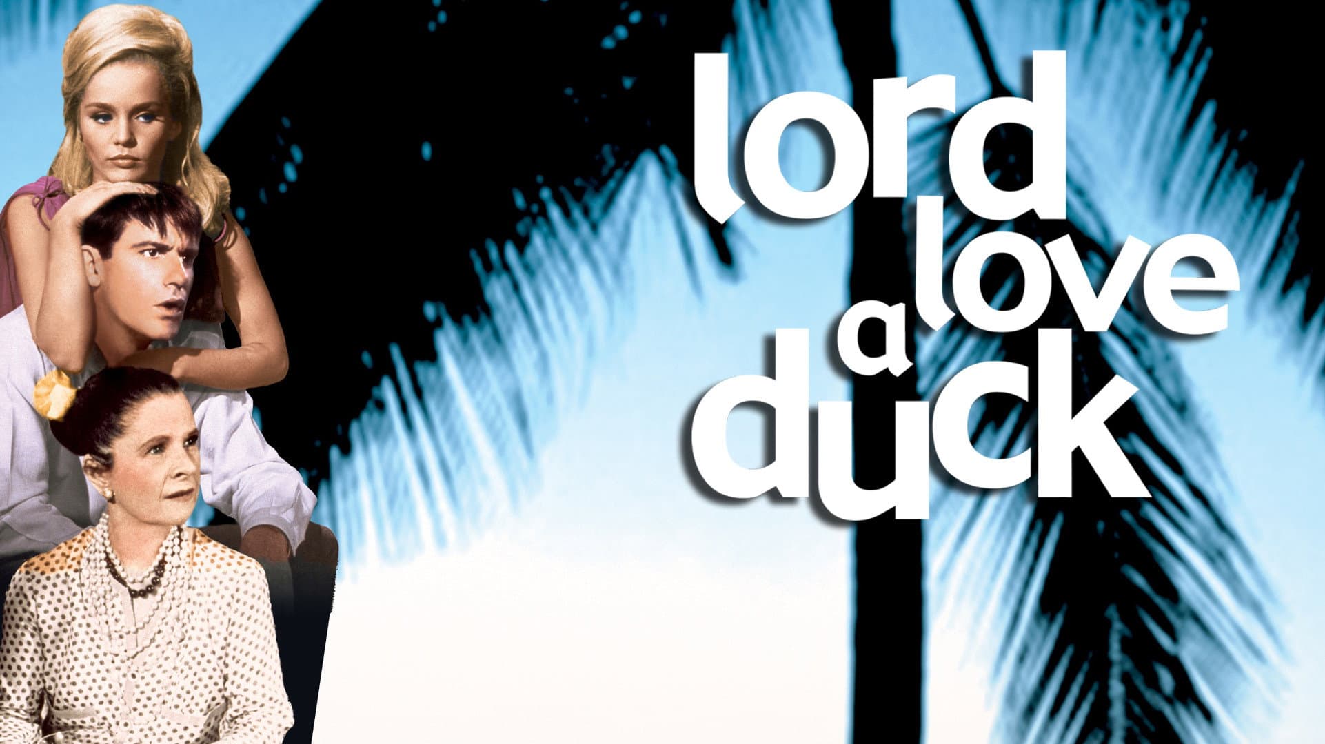Lord Love a Duck - immagine