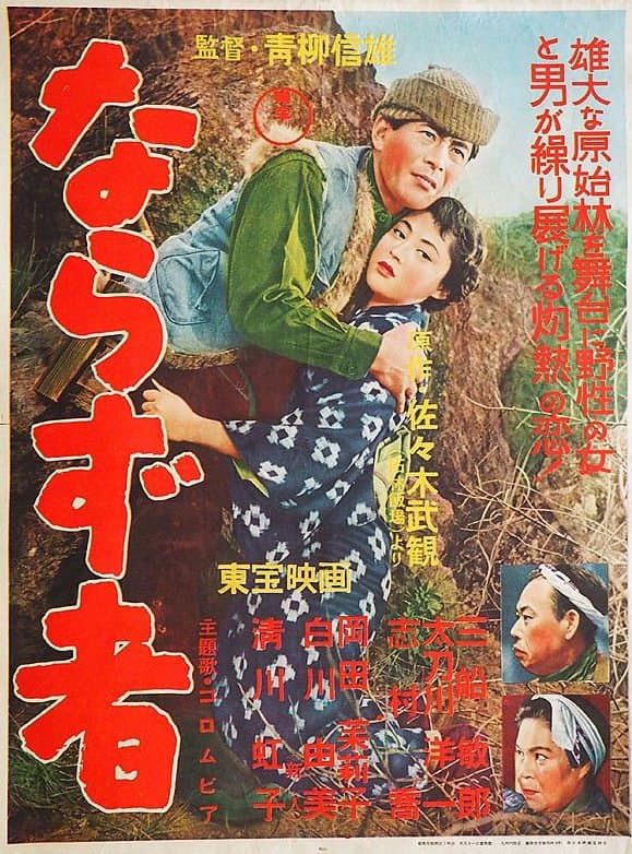 Poster di ならず者