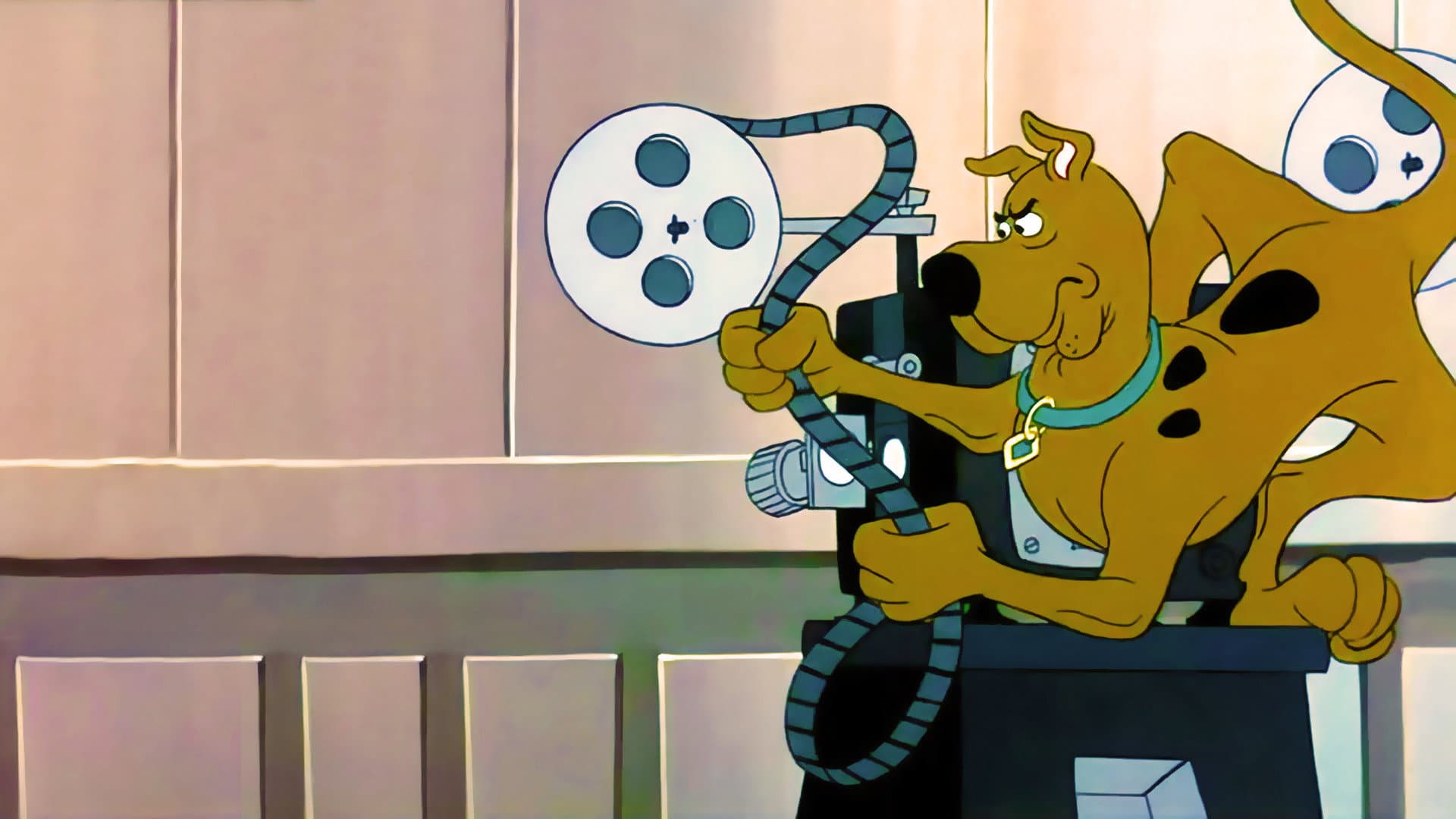Scooby-Doo va a Hollywood - immagine