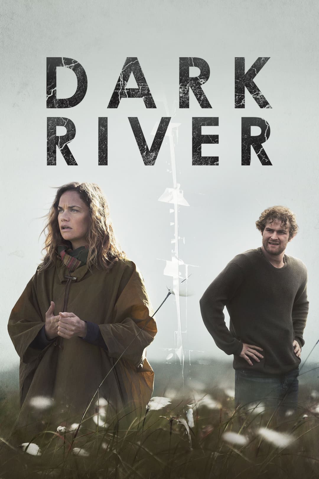 Poster di Dark River