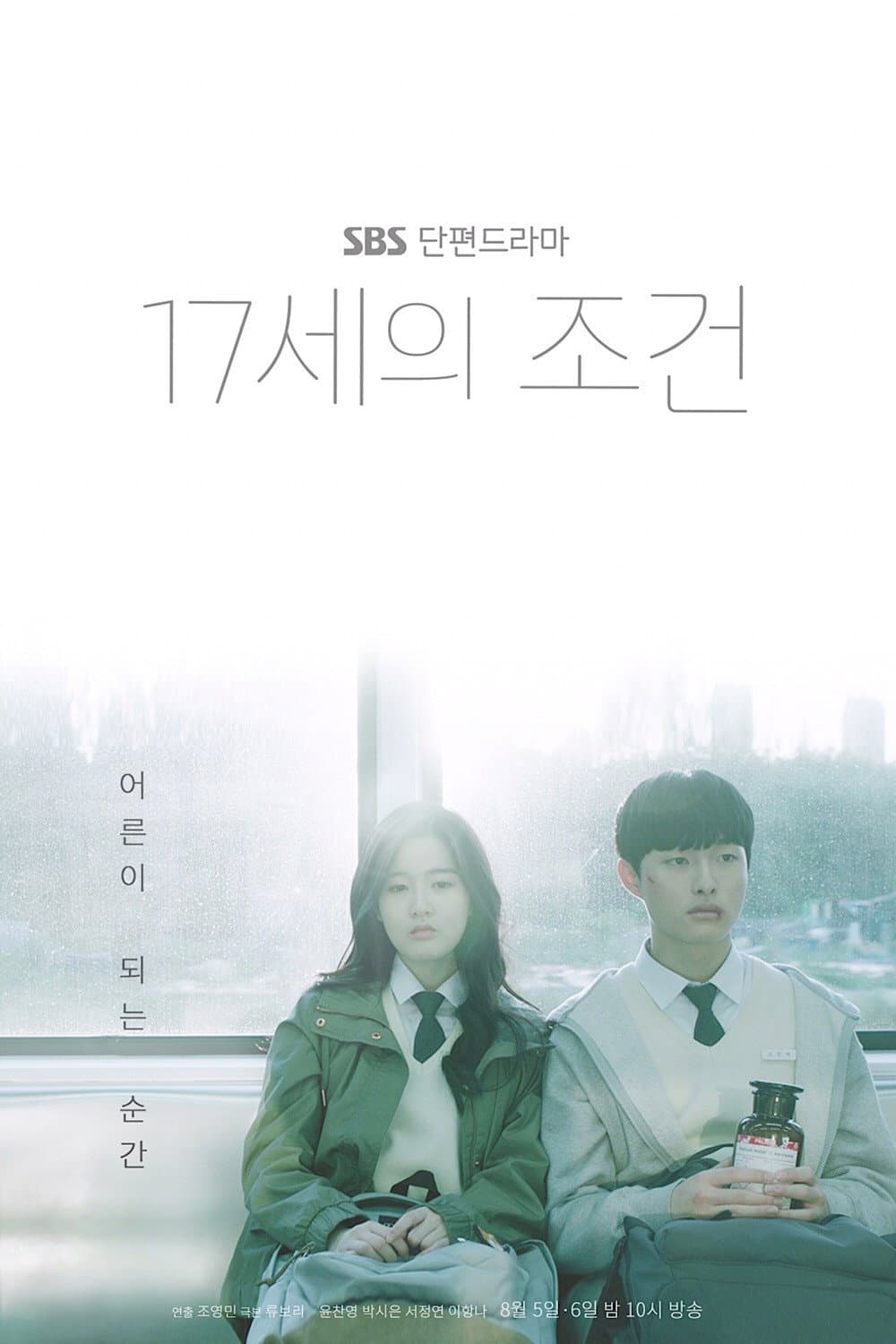 Poster di 17세의 조건