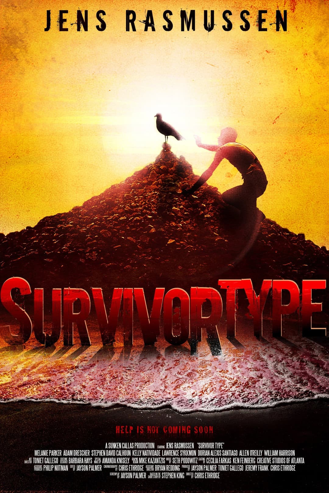 Poster di Survivor Type