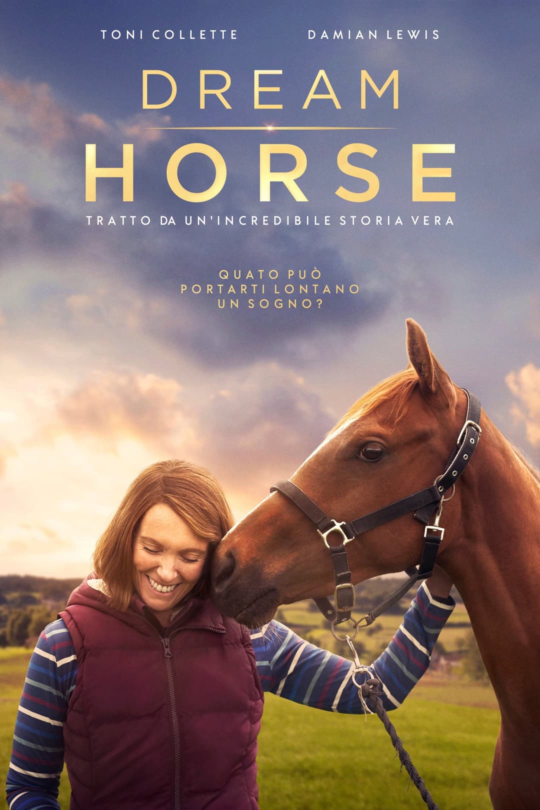 Poster di Dream Horse