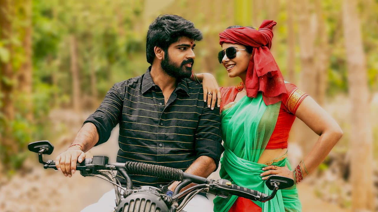 பிஸ்தா - immagine